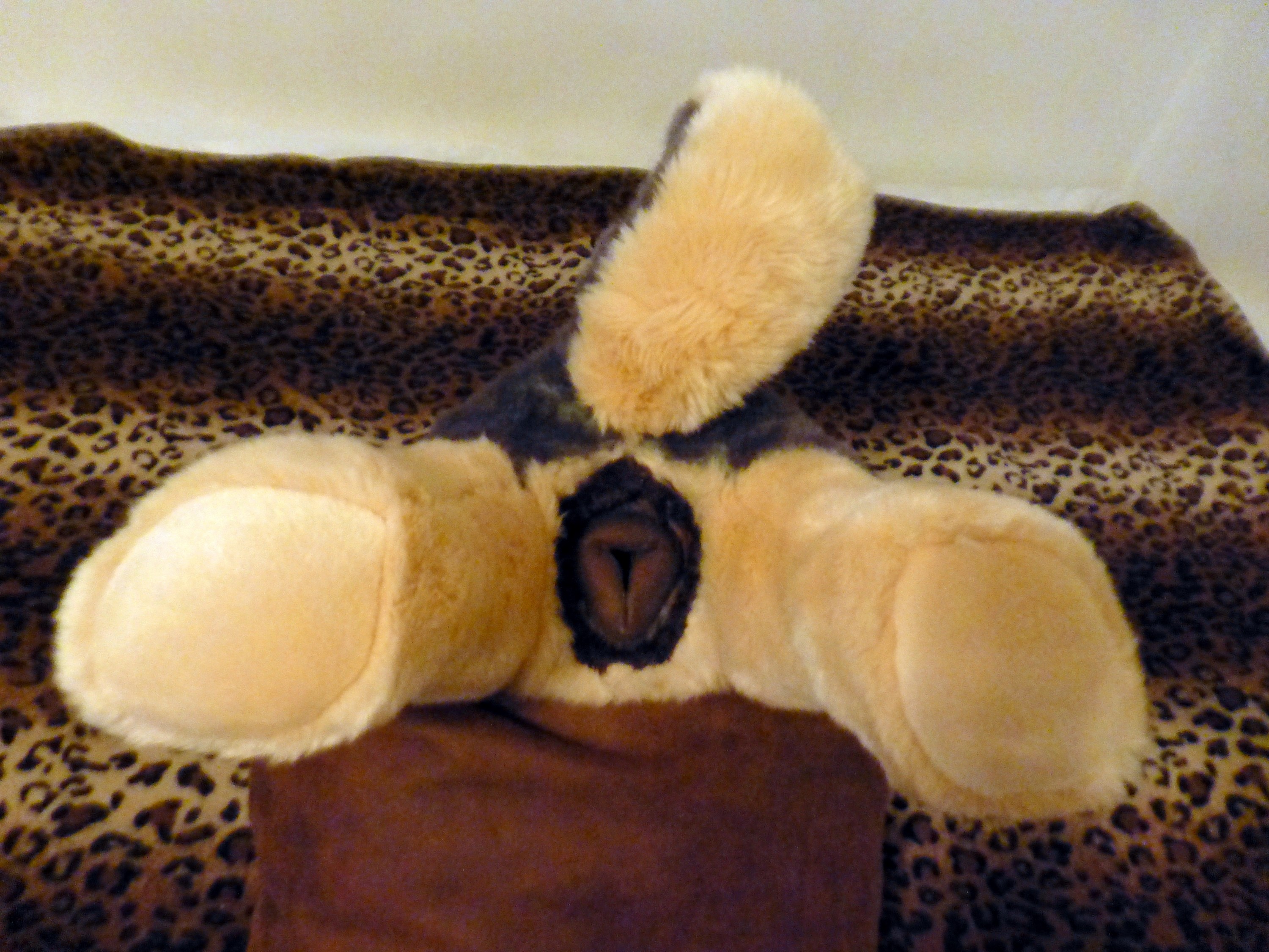 Scroll down for plush commission options also IMPORTANT information! 