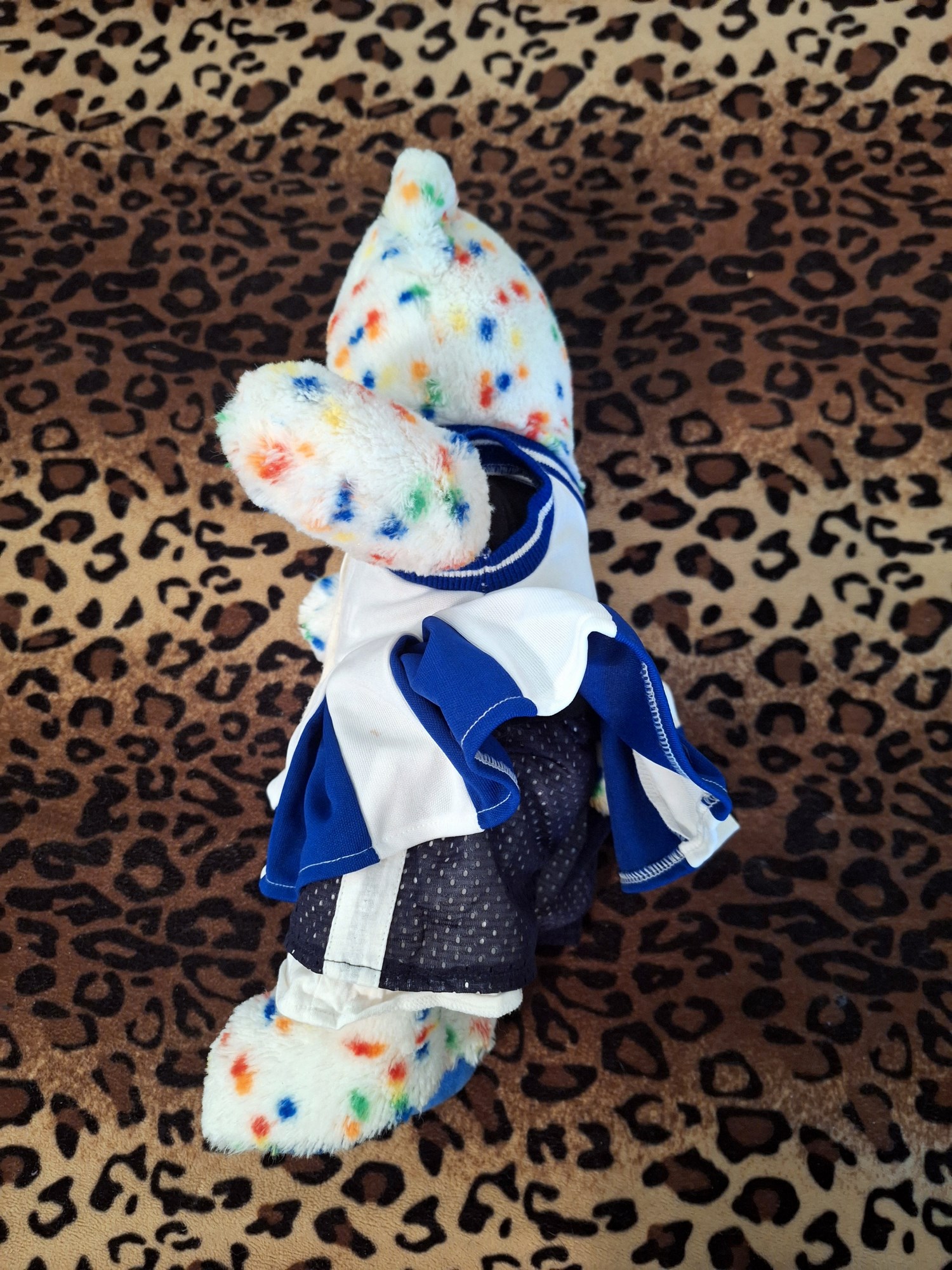 20231217_134529 (Copy)