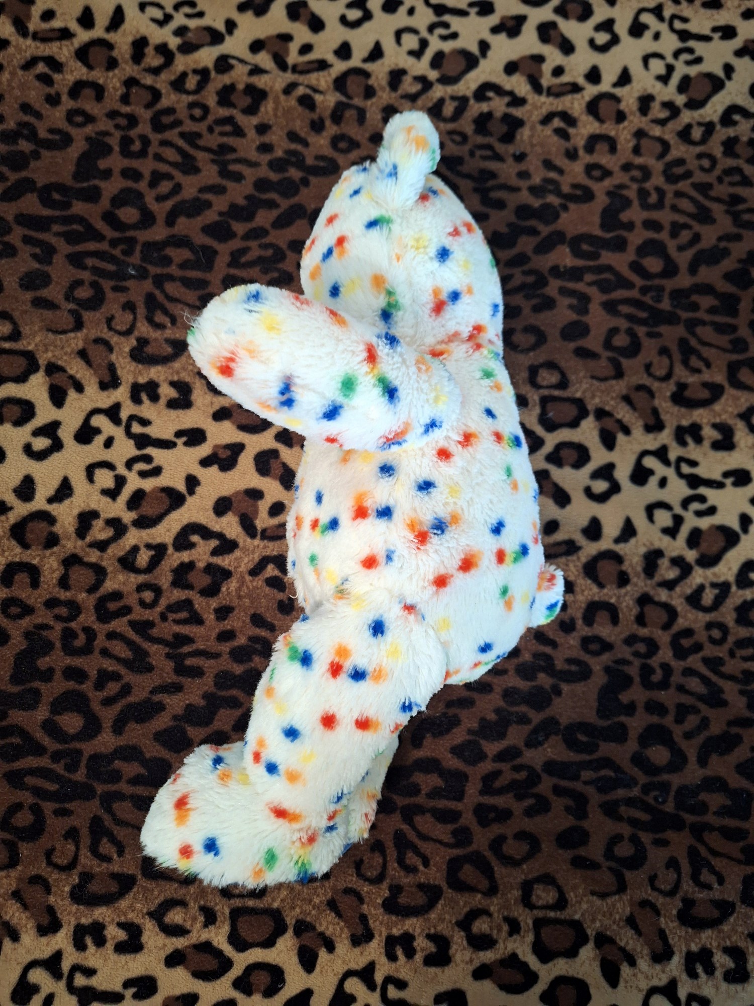 20231217_134939 (Copy)