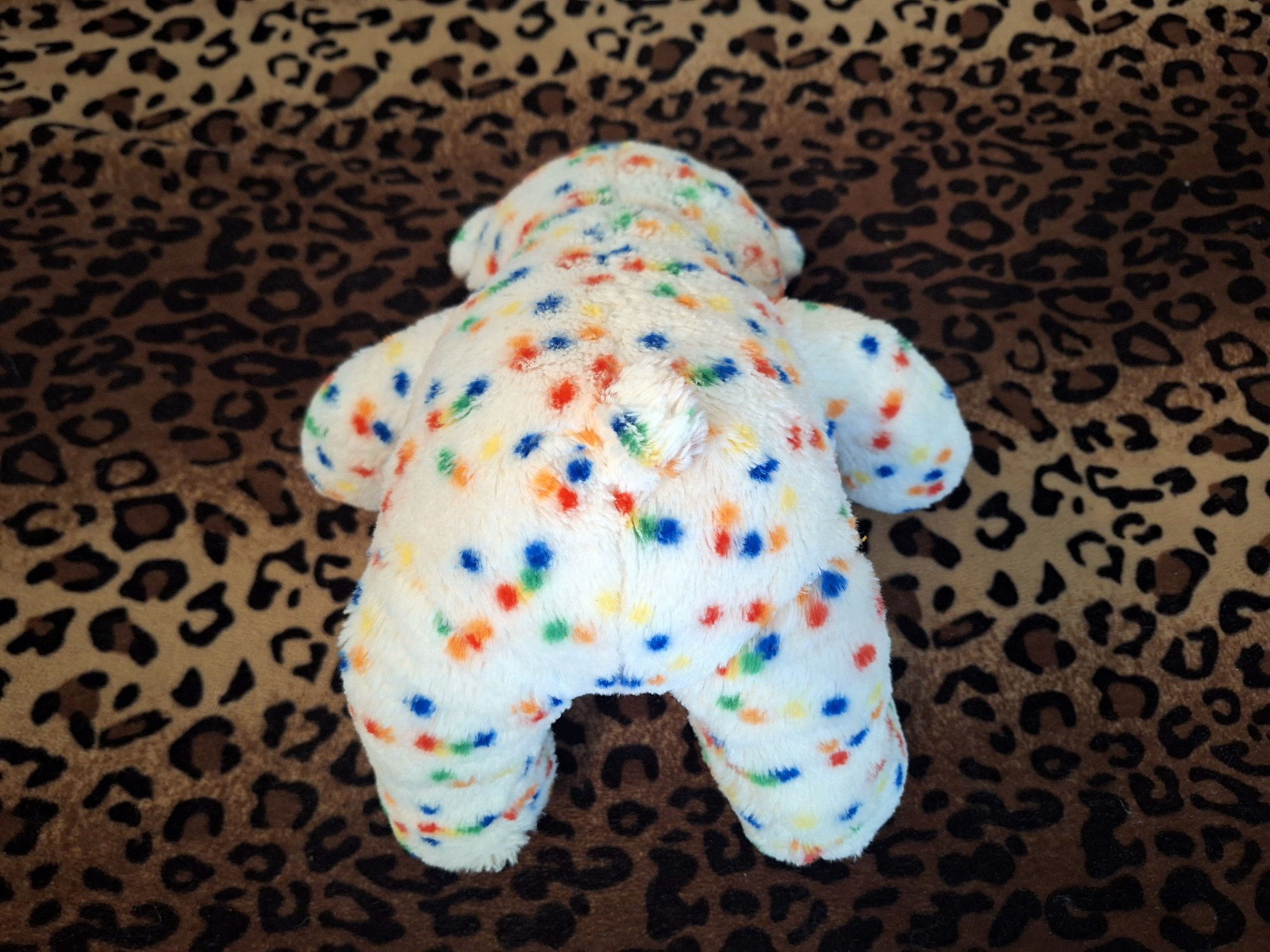 20231217_135018 (Copy)