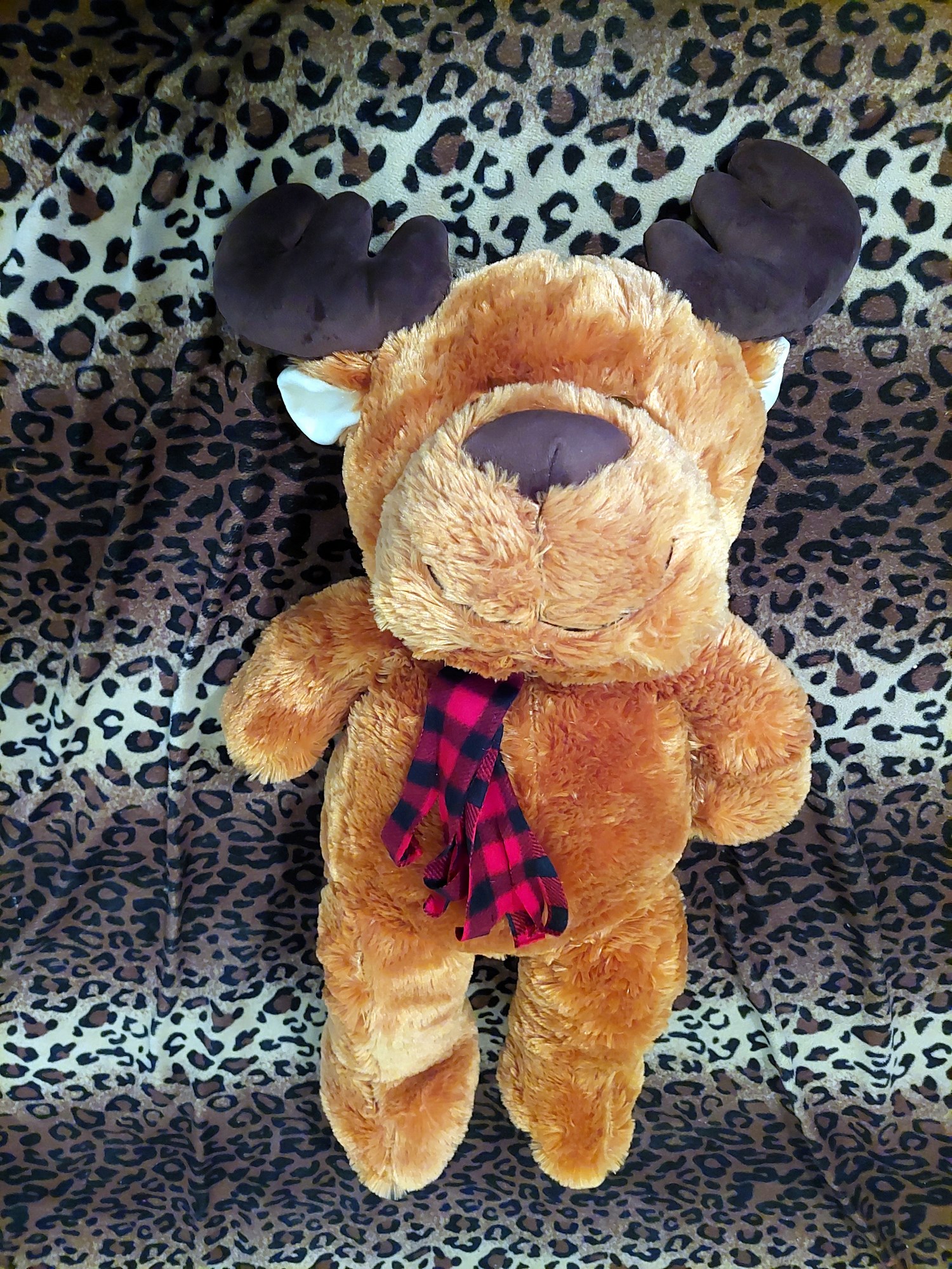 20220718_120703 (Copy)