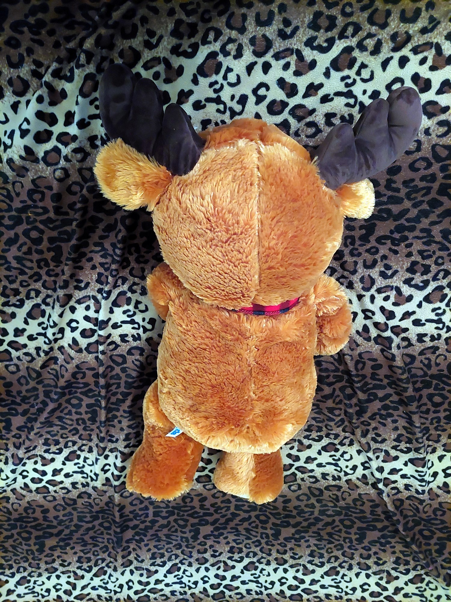 20220718_120714 (Copy)