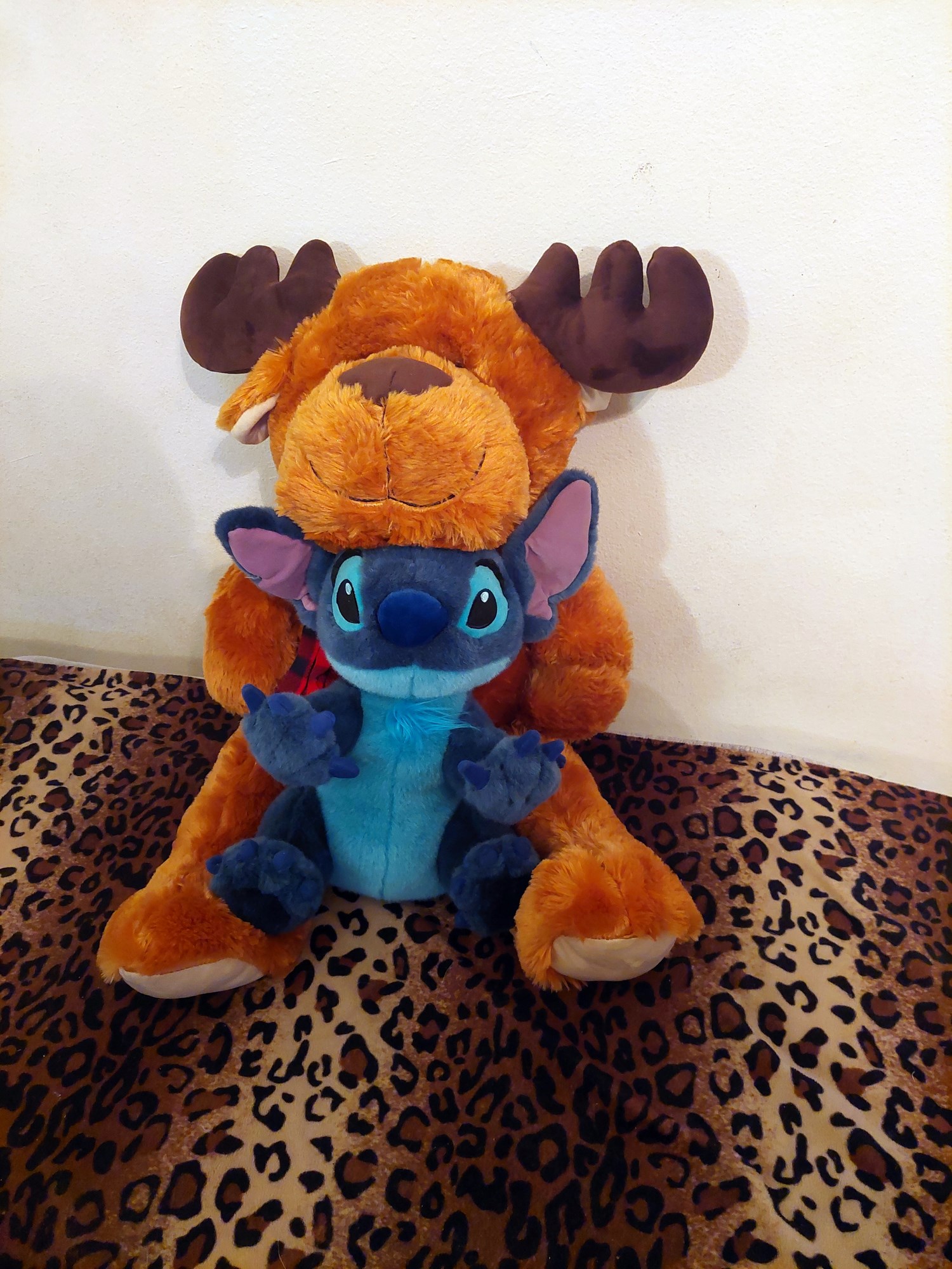 20220718_120738 (Copy)