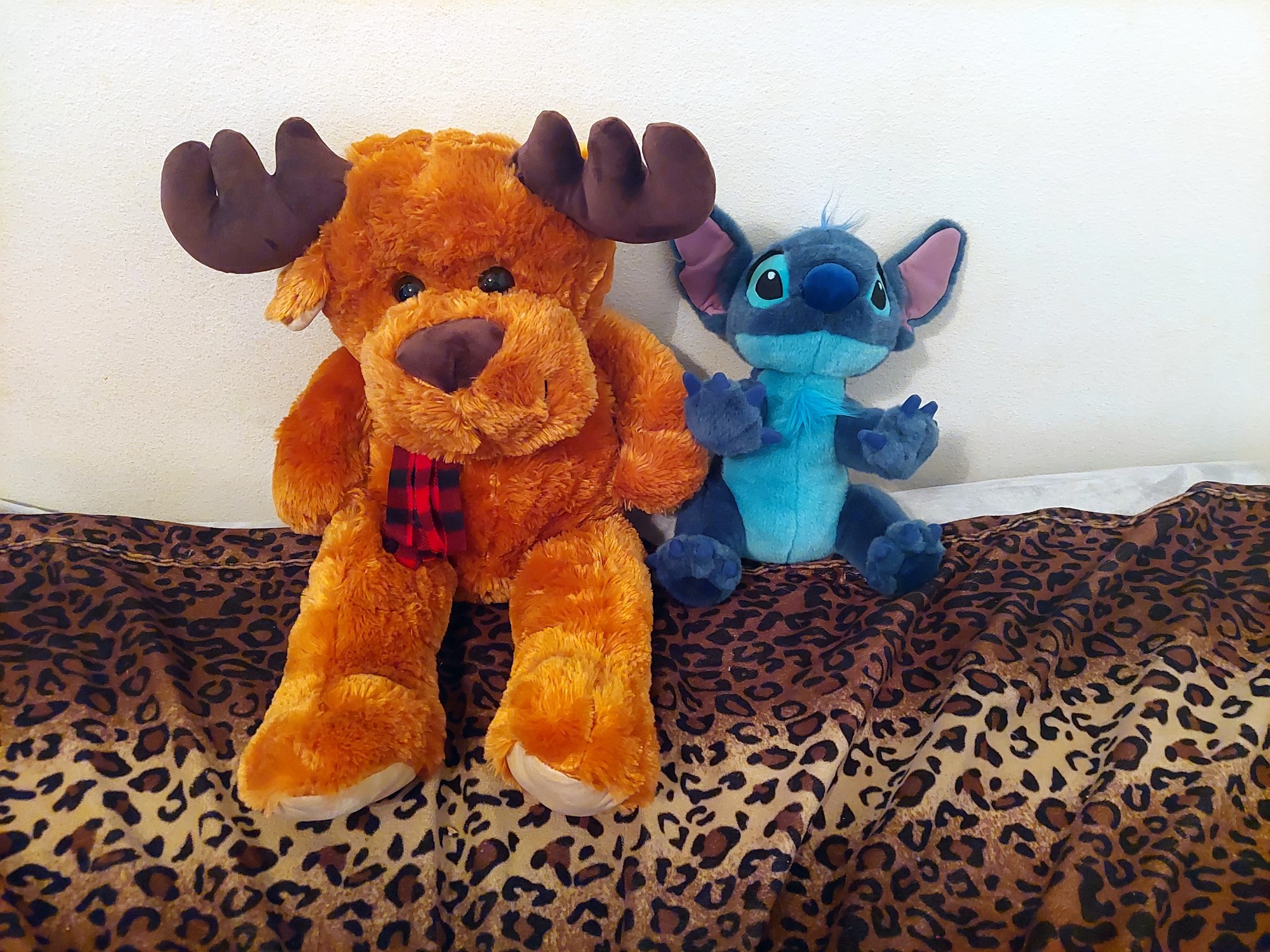 20220718_120757 (Copy)