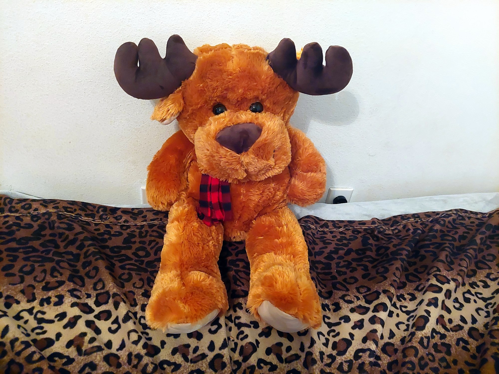 20220718_120803 (Copy)