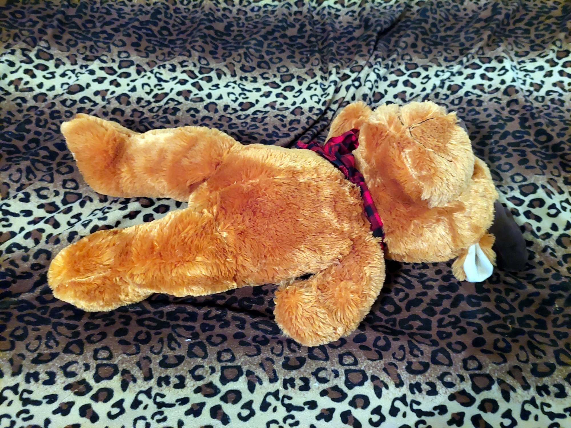 20220718_120818 (Copy)