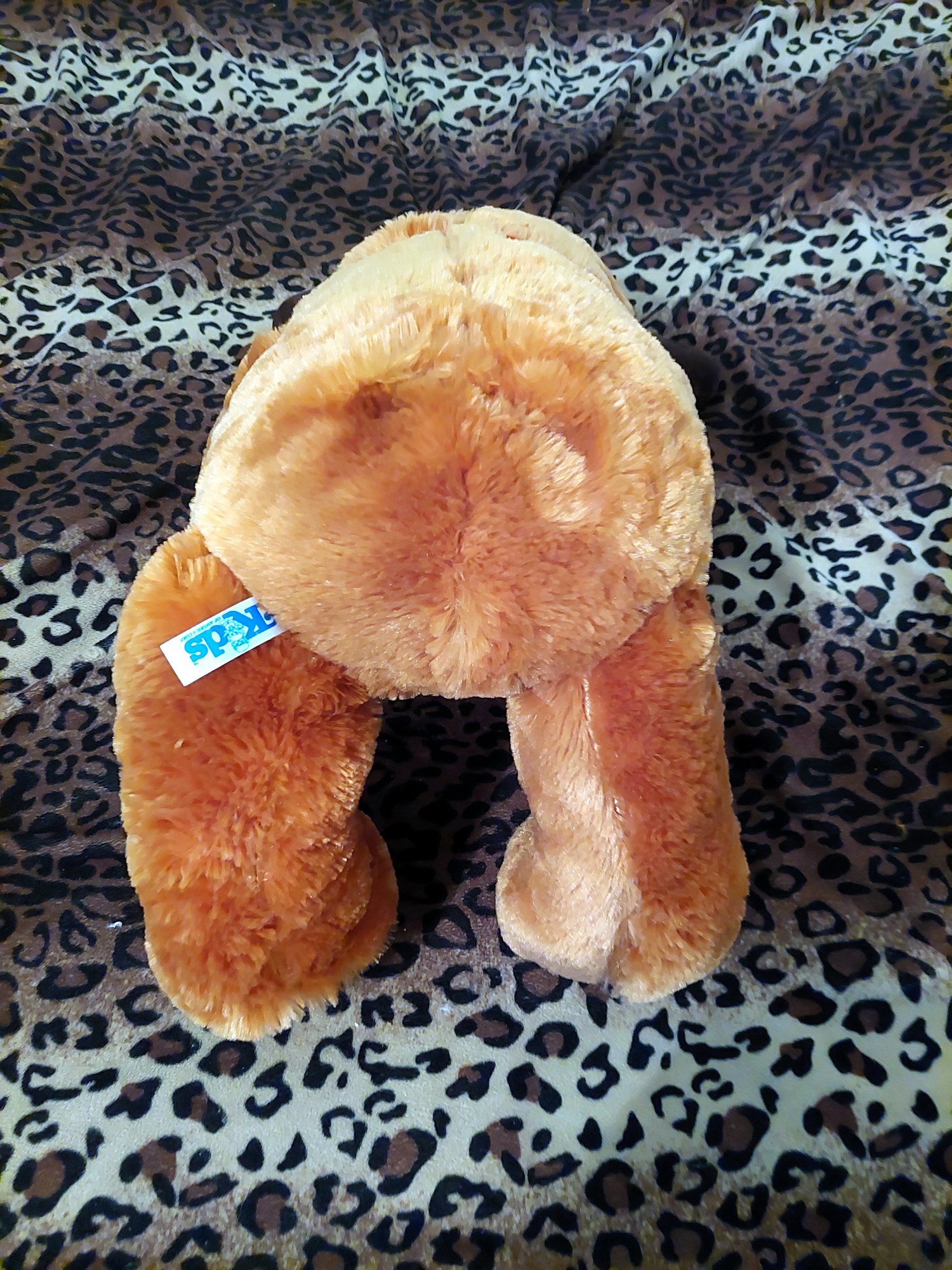 20220718_120826 (Copy)