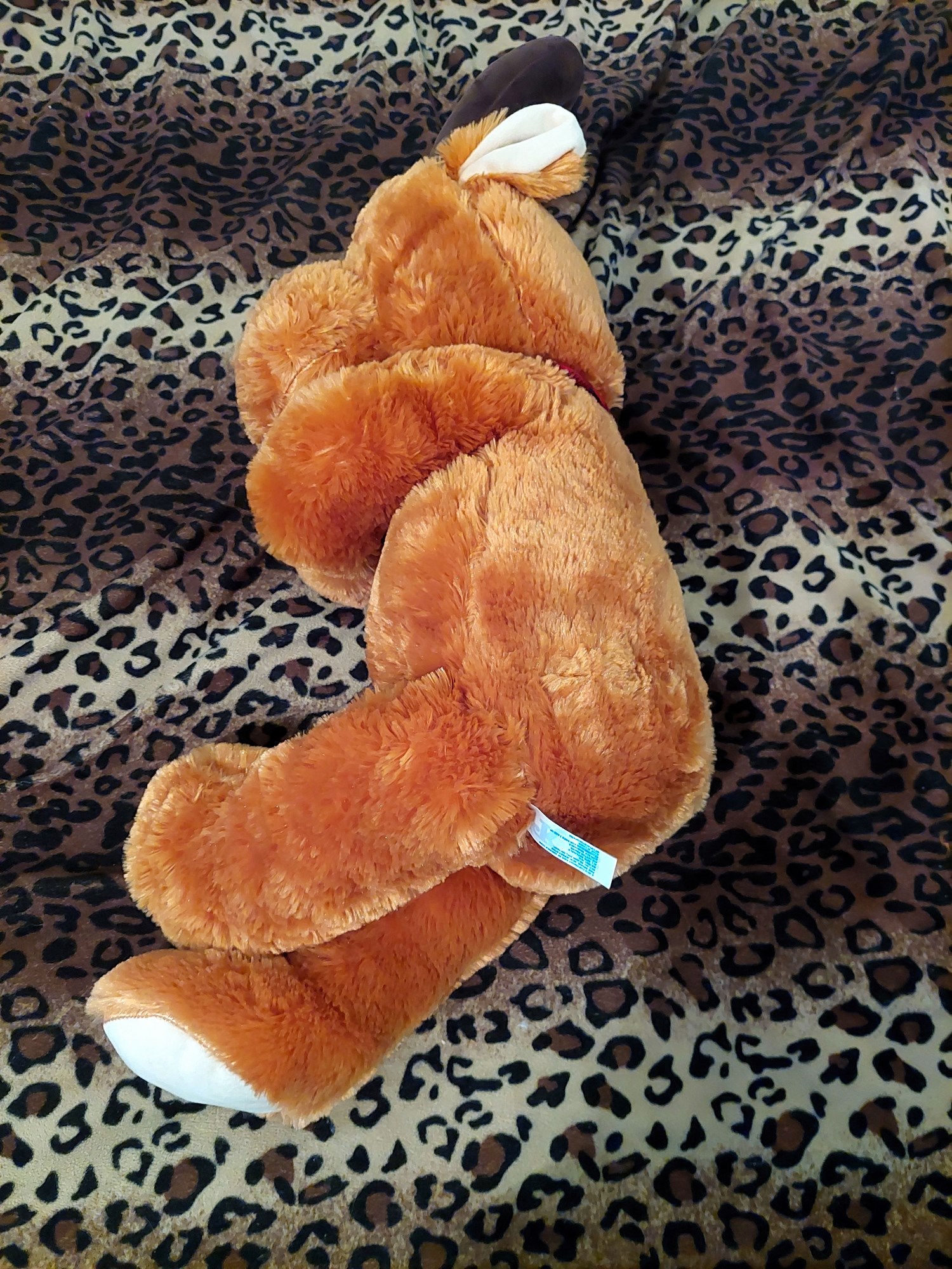 20220718_120835 (Copy)