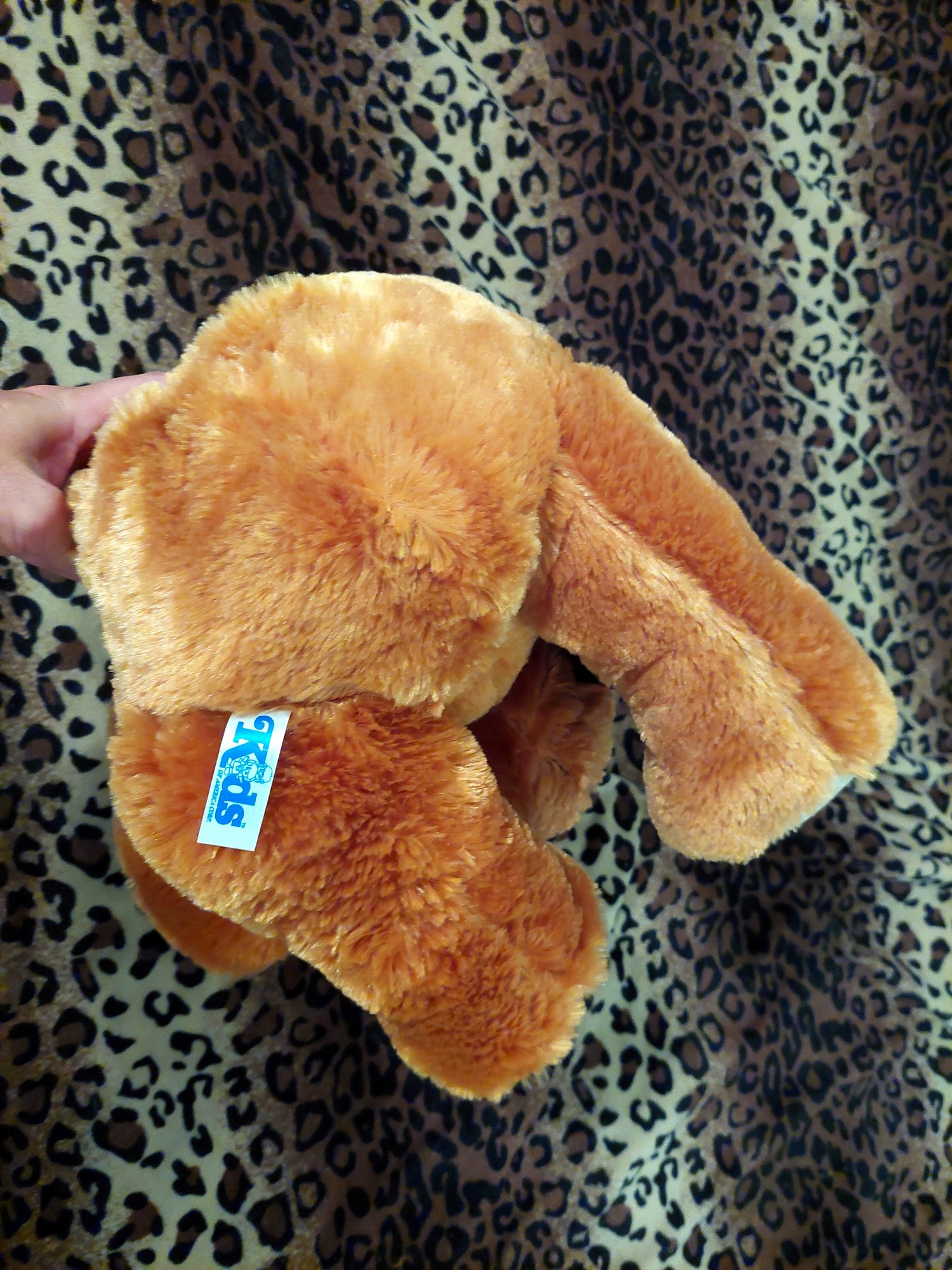 20220718_120844 (Copy)