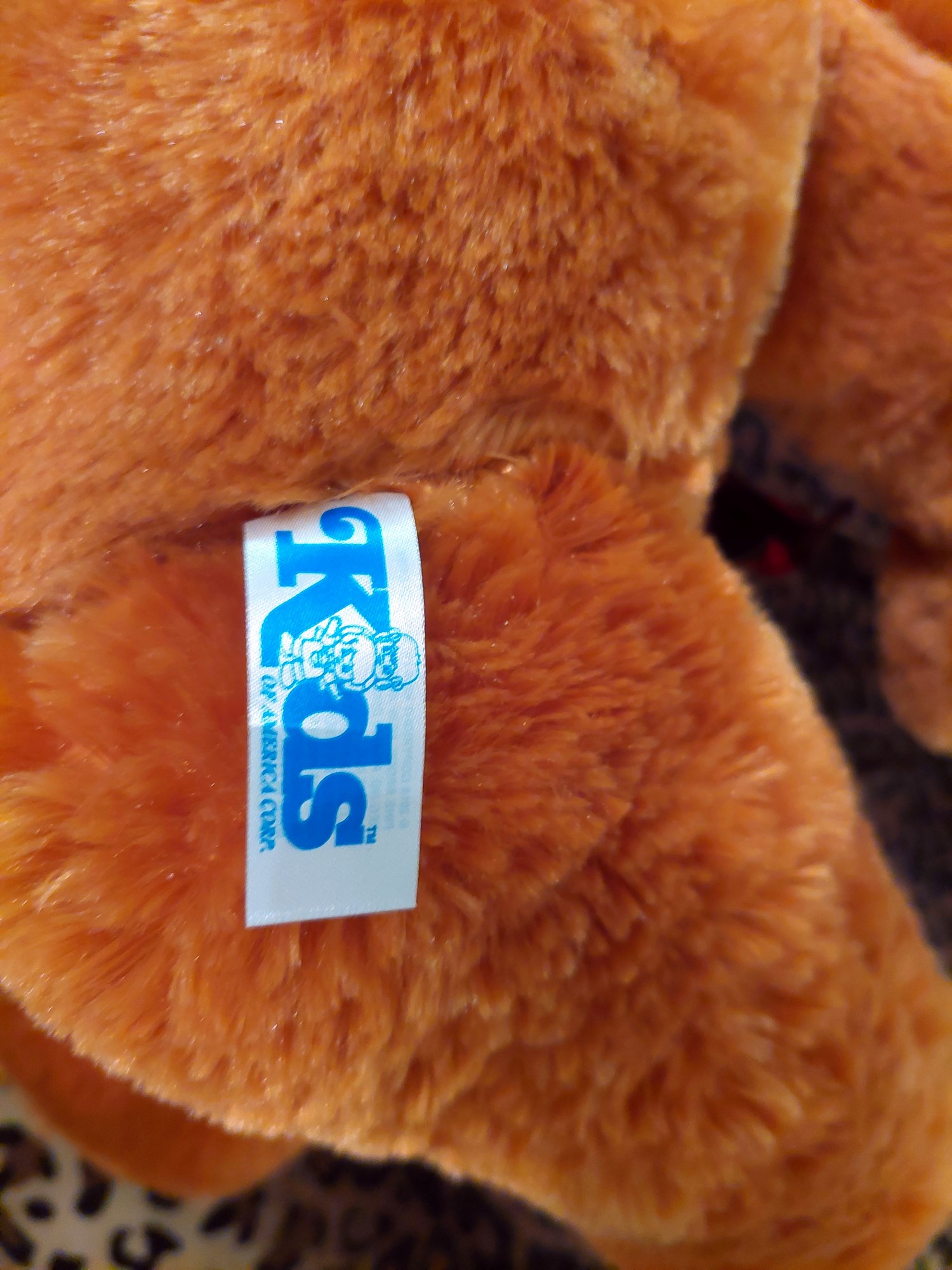 20220718_120850 (Copy)