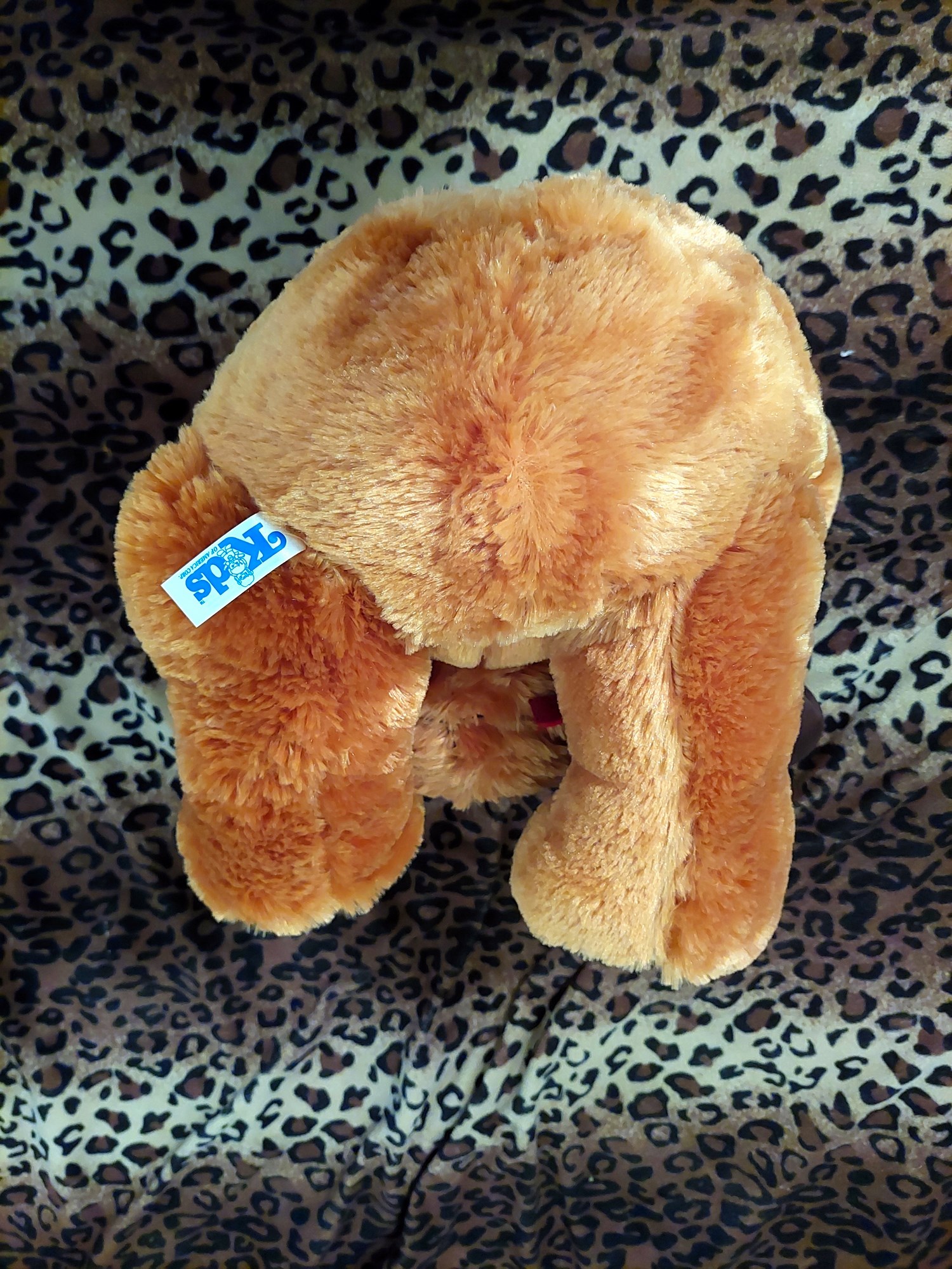 20220718_120859 (Copy)