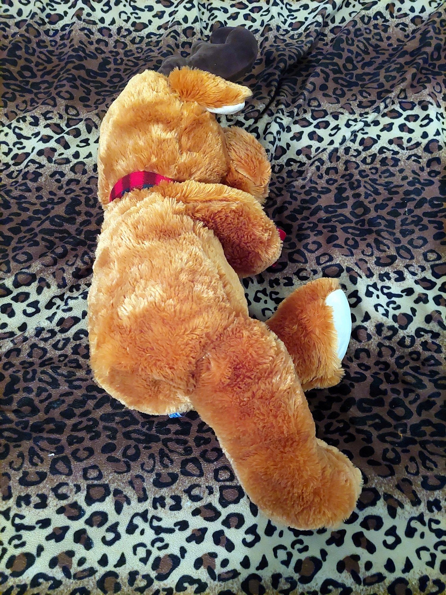 20220718_120908 (Copy)