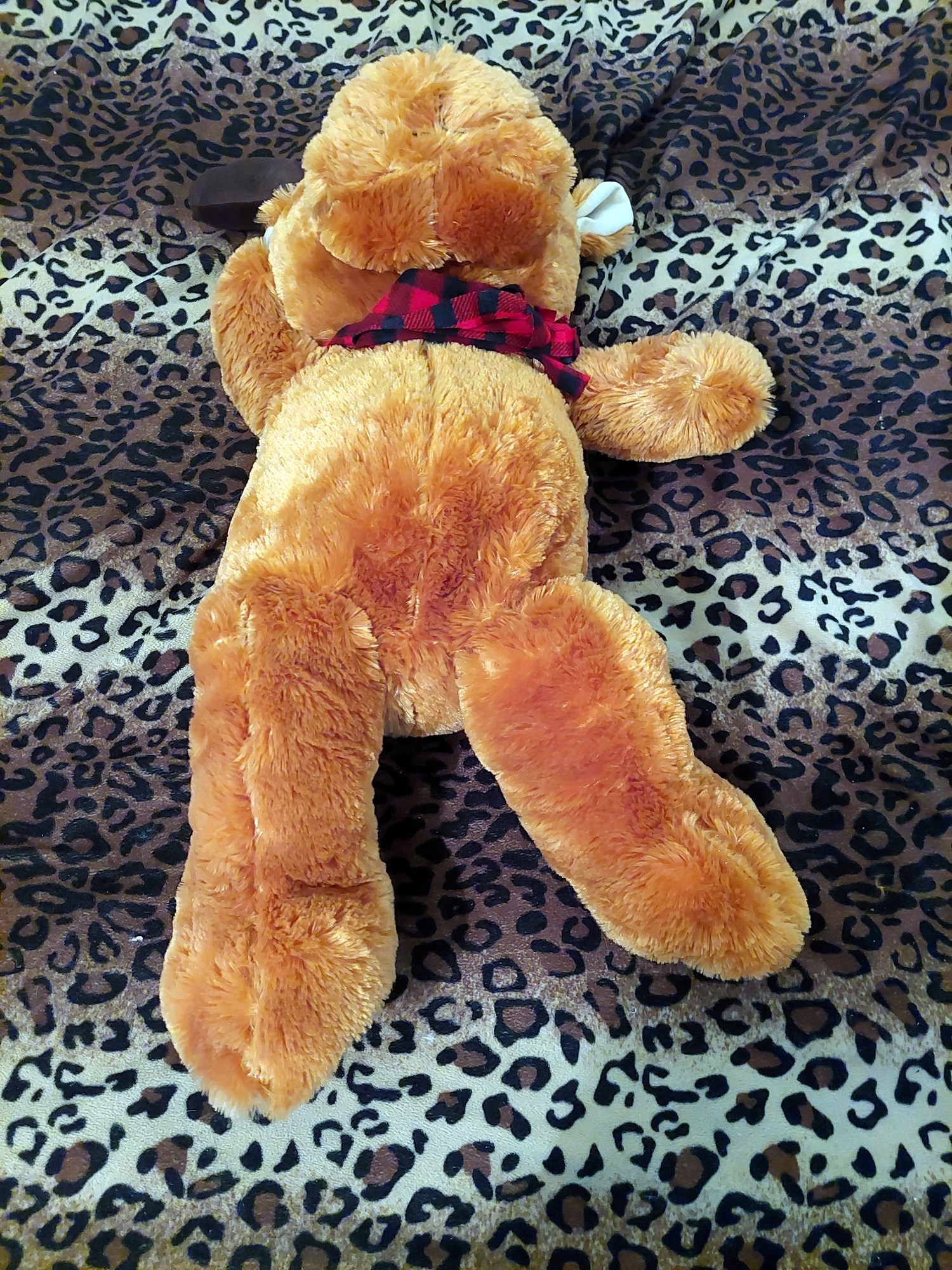 20220718_120915 (Copy)