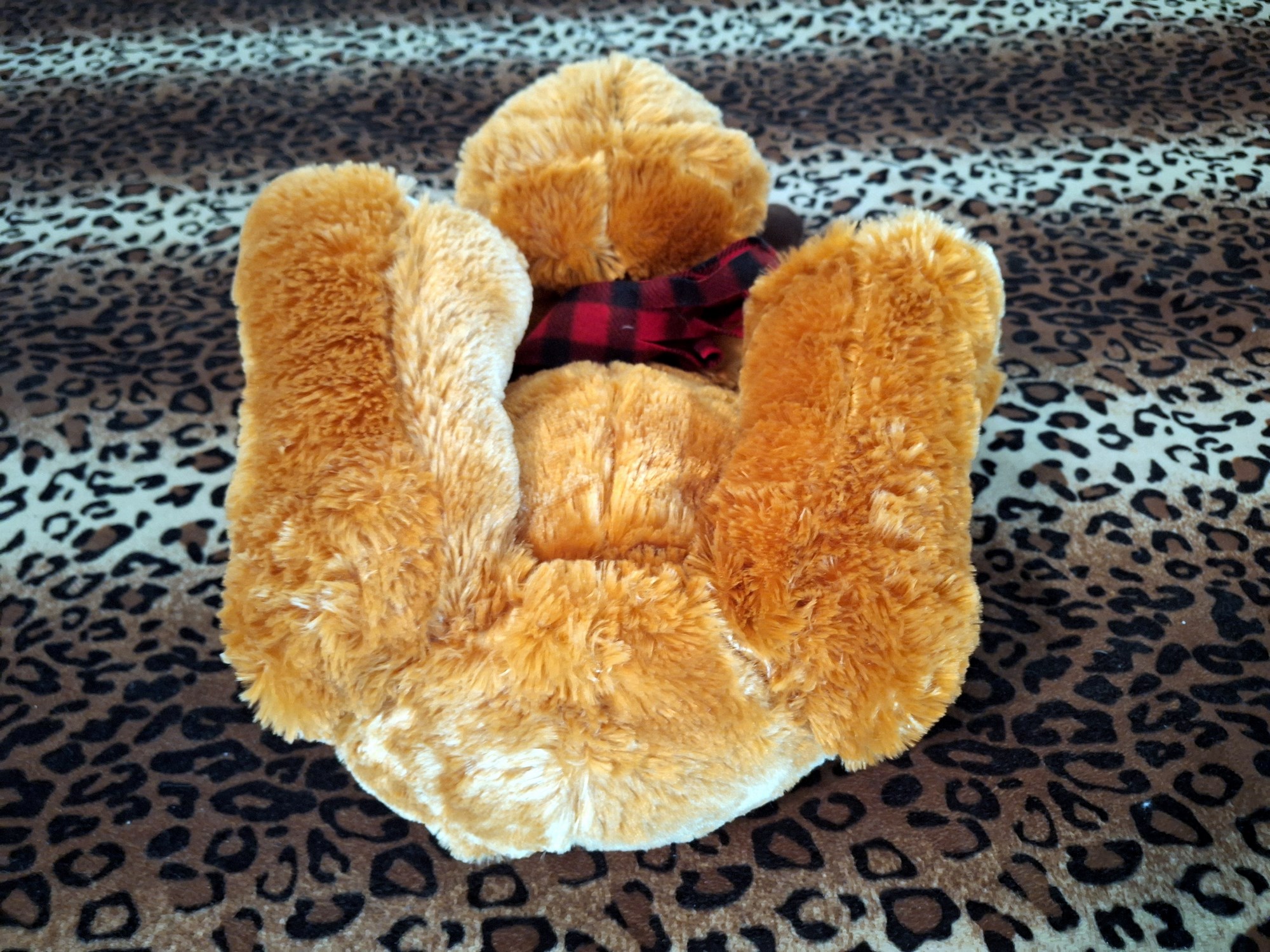 20240526_150959 (Copy)