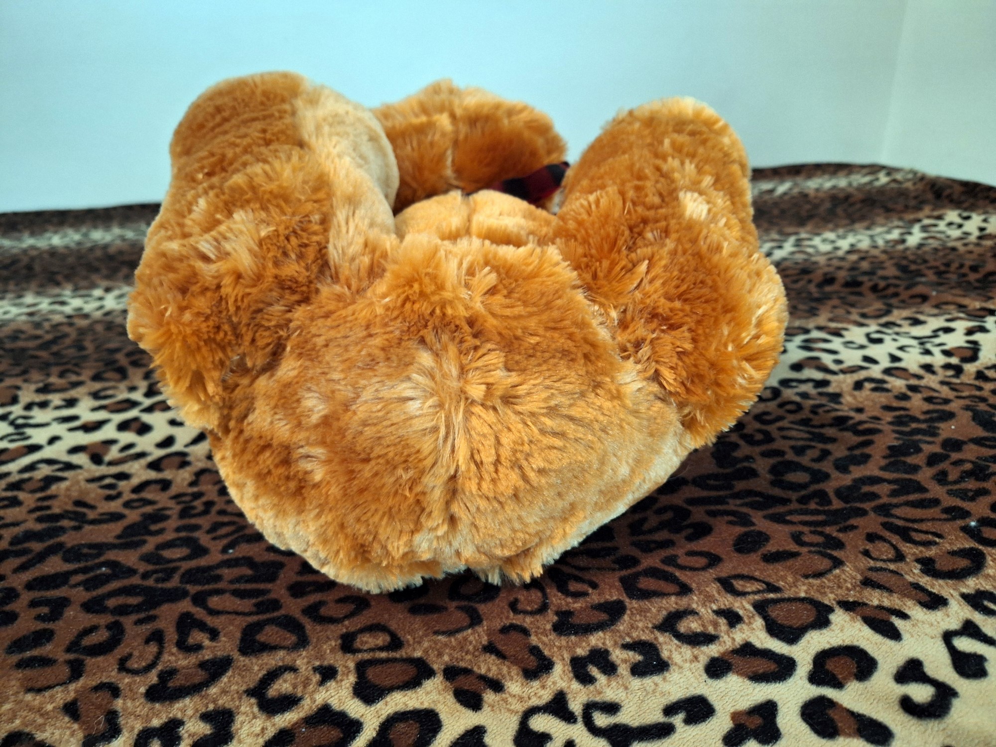 20240526_151002 (Copy)