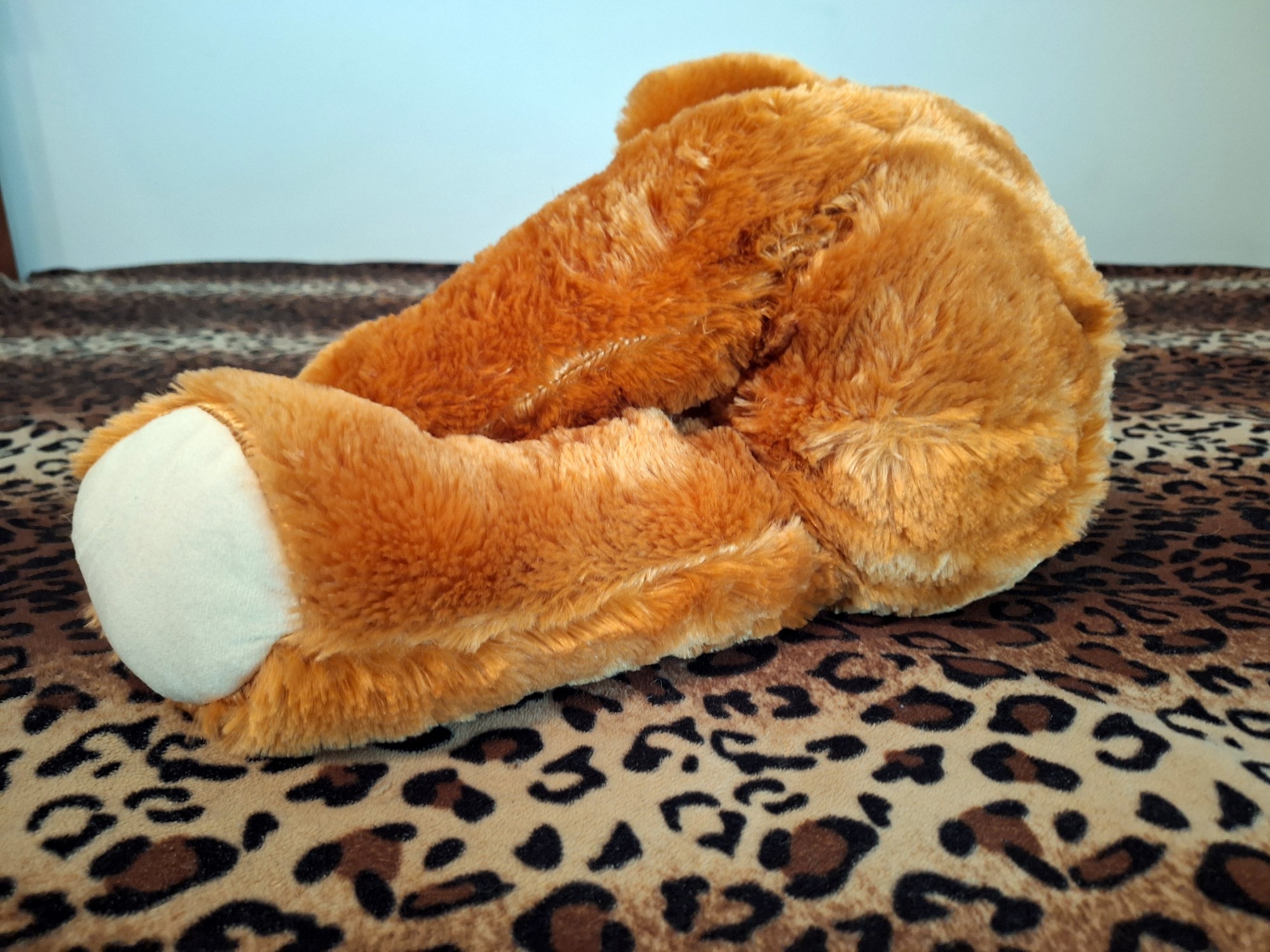 20240526_151007 (Copy)