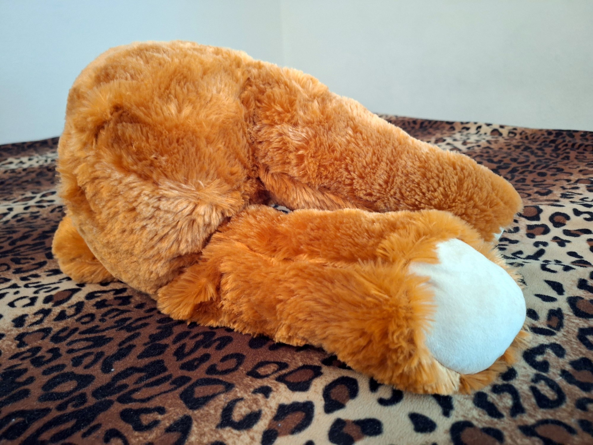 20240526_151015 (Copy)