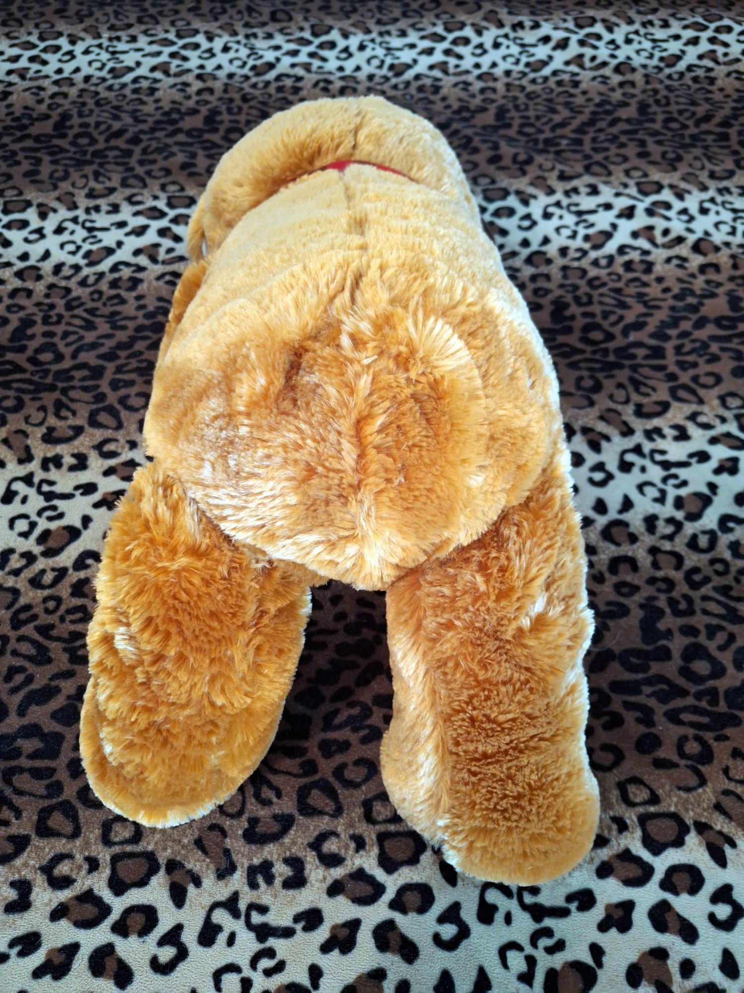 20240526_151030 (Copy)