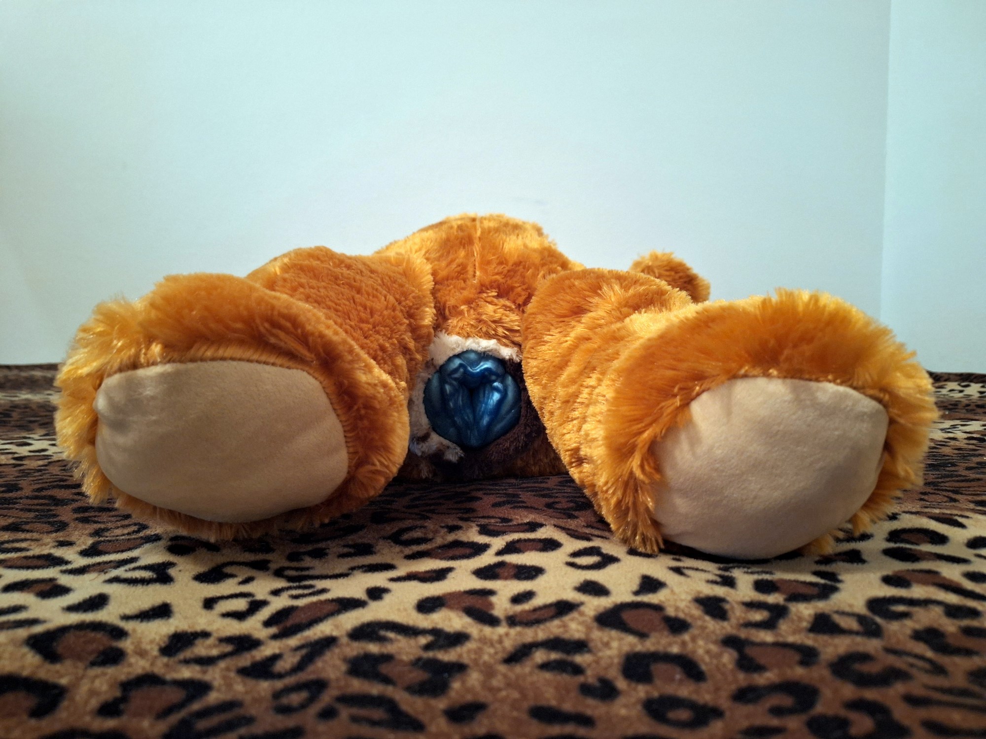 20240526_225428 (Copy)