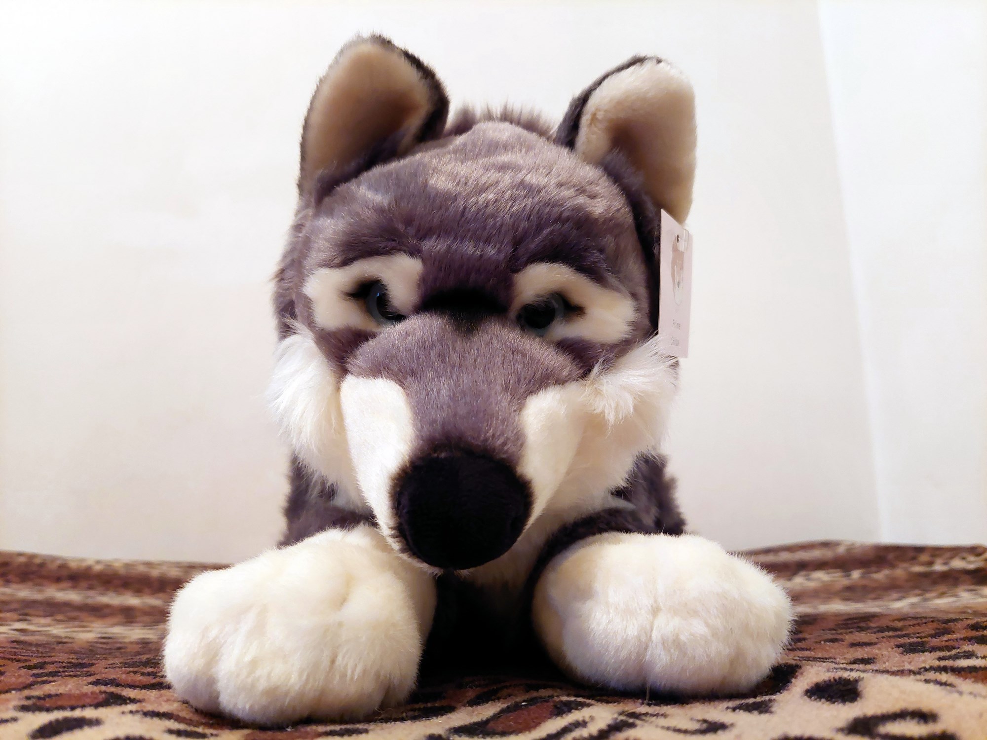 20221121_163451 (Copy)