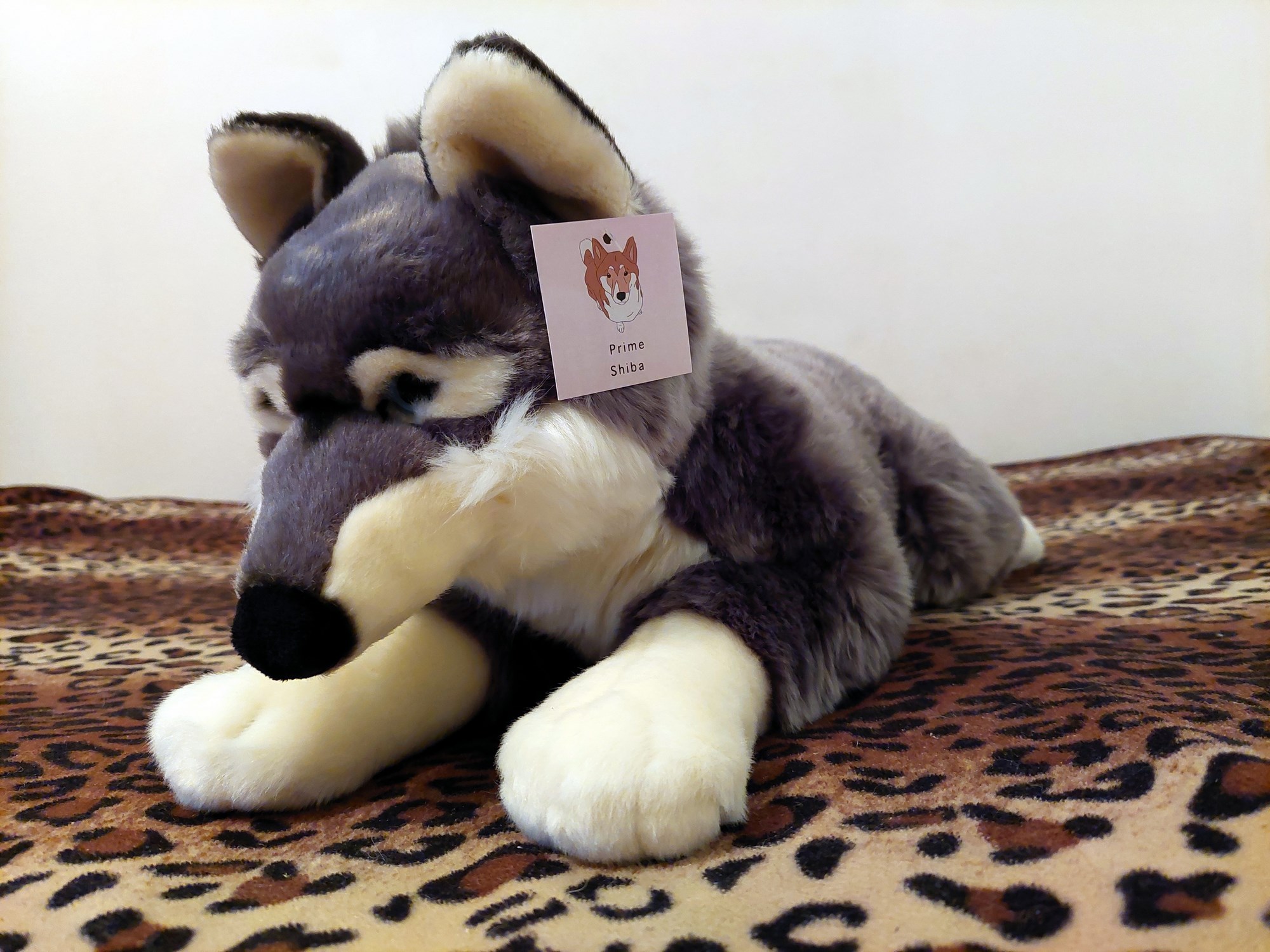 20221121_163504 (Copy)