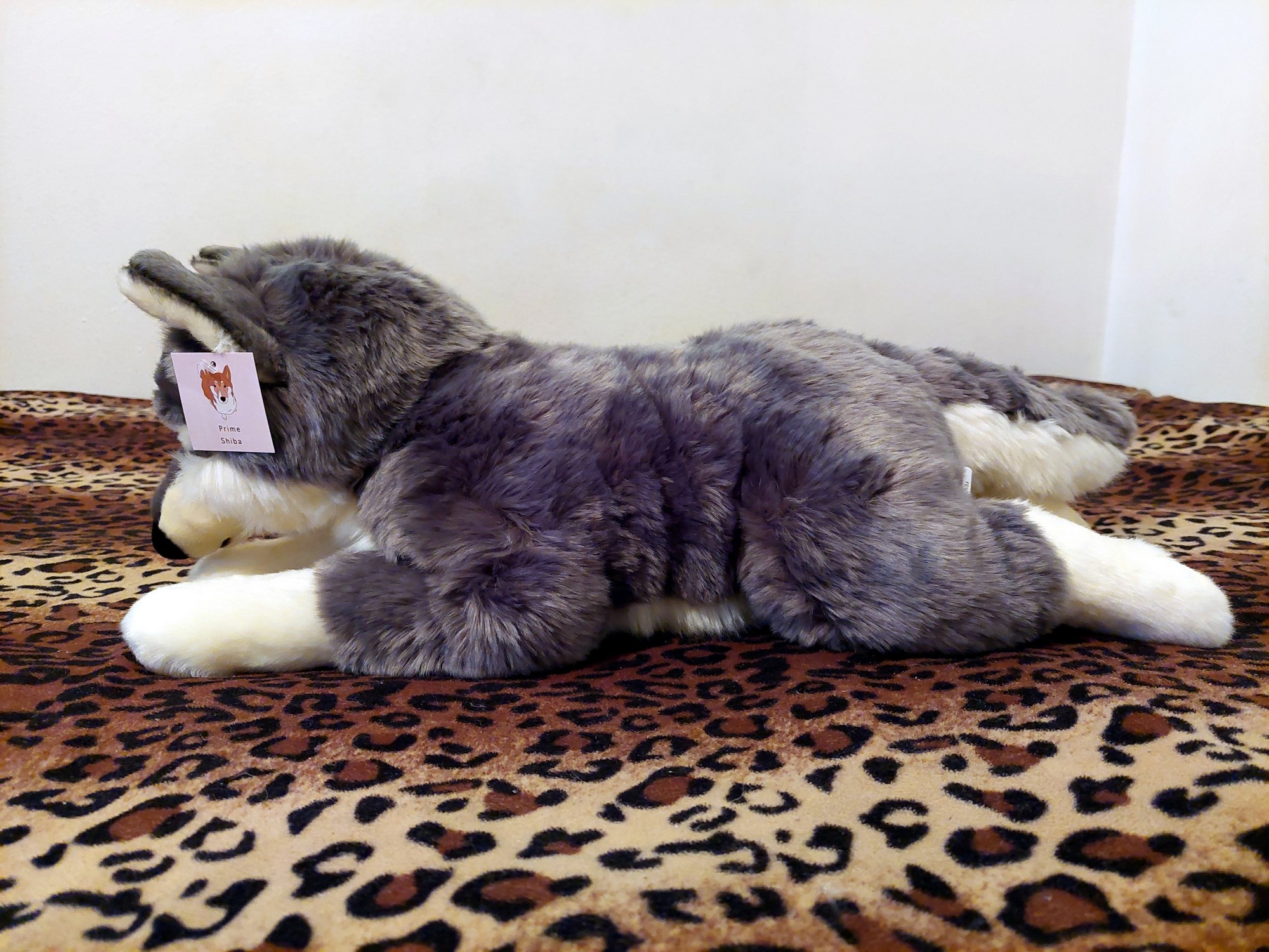 20221121_163517 (Copy)