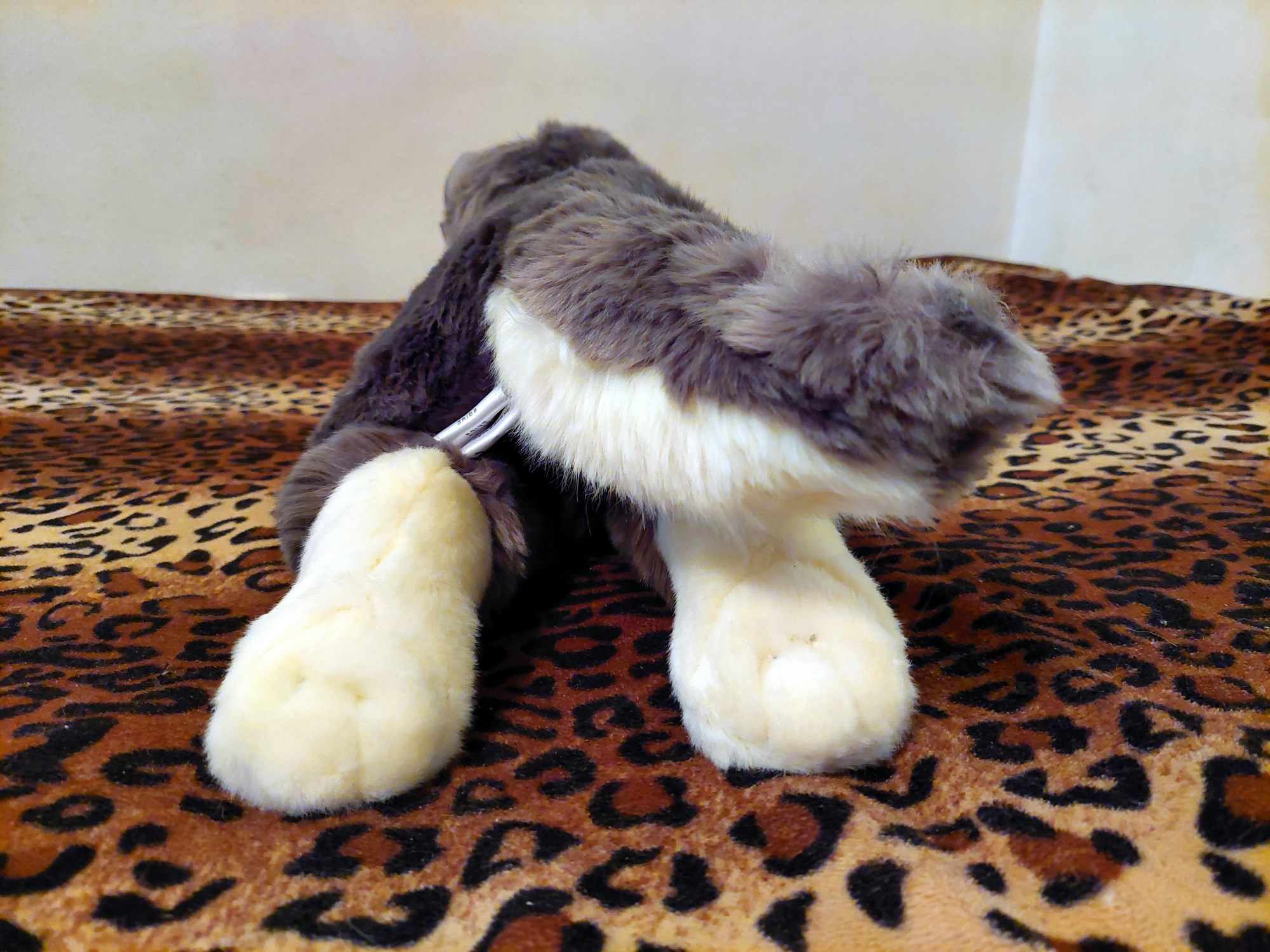 20221121_163606 (Copy)