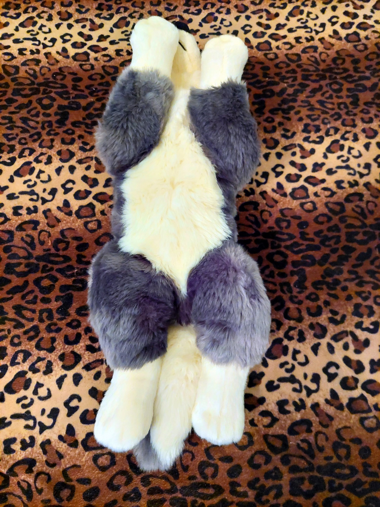 20221121_163643 (Copy)