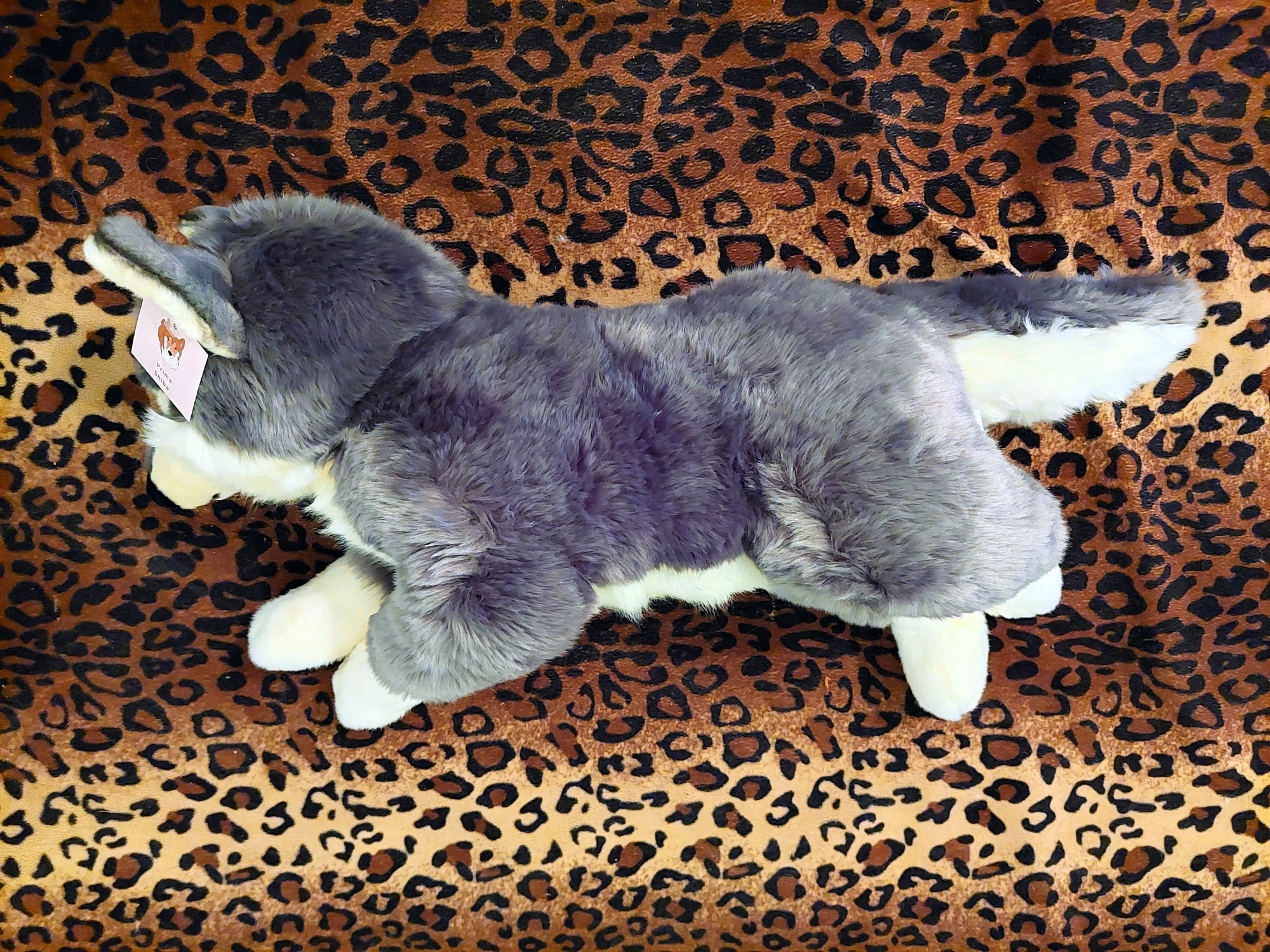 20221121_163655 (Copy)