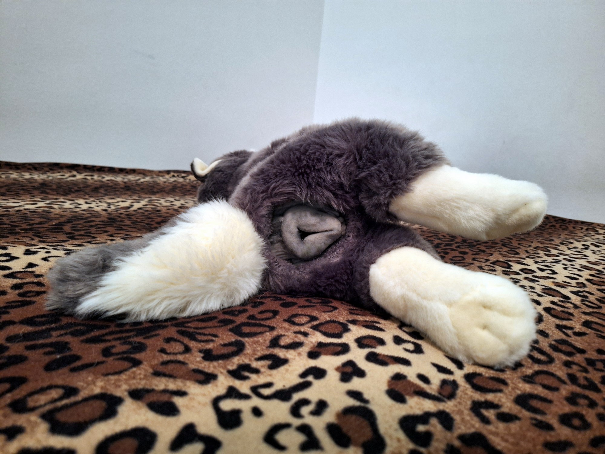 20240719_131627 (Copy)