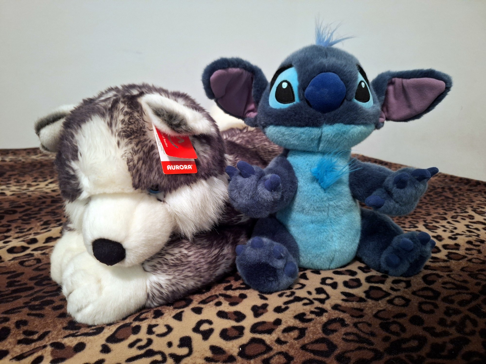 20240918_131411 (Copy)