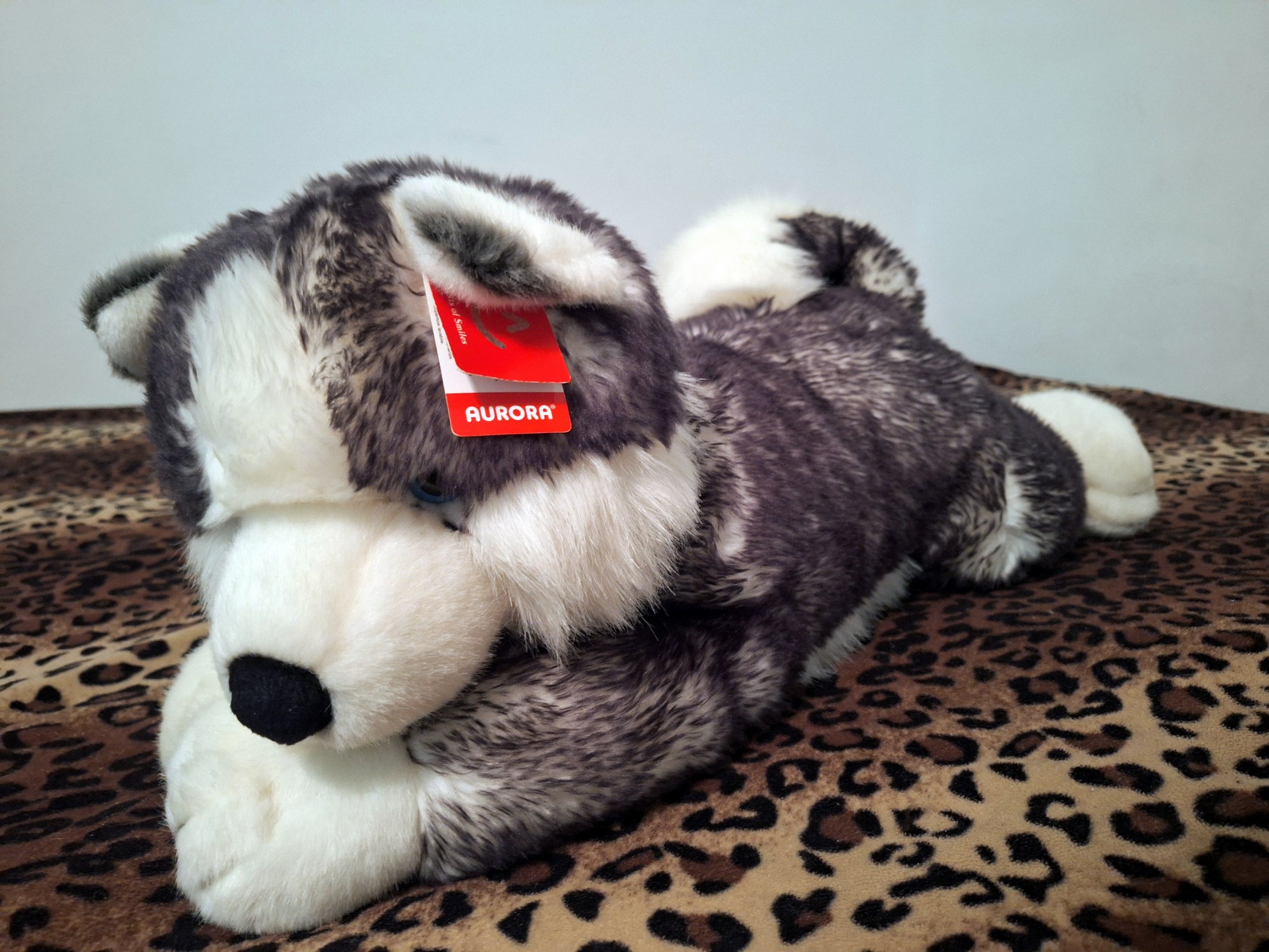 20240918_131422 (Copy)