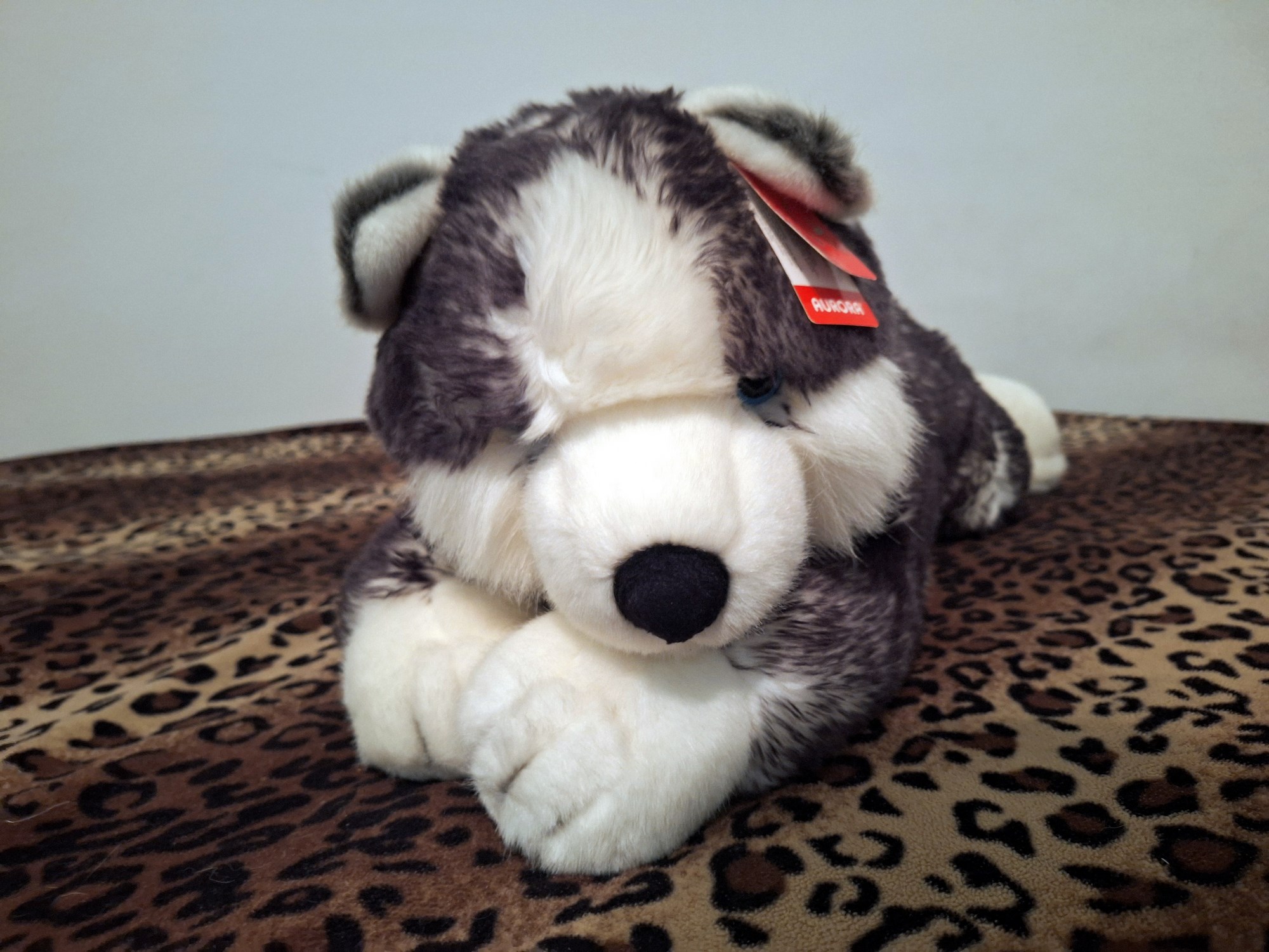 20240918_131424 (Copy)