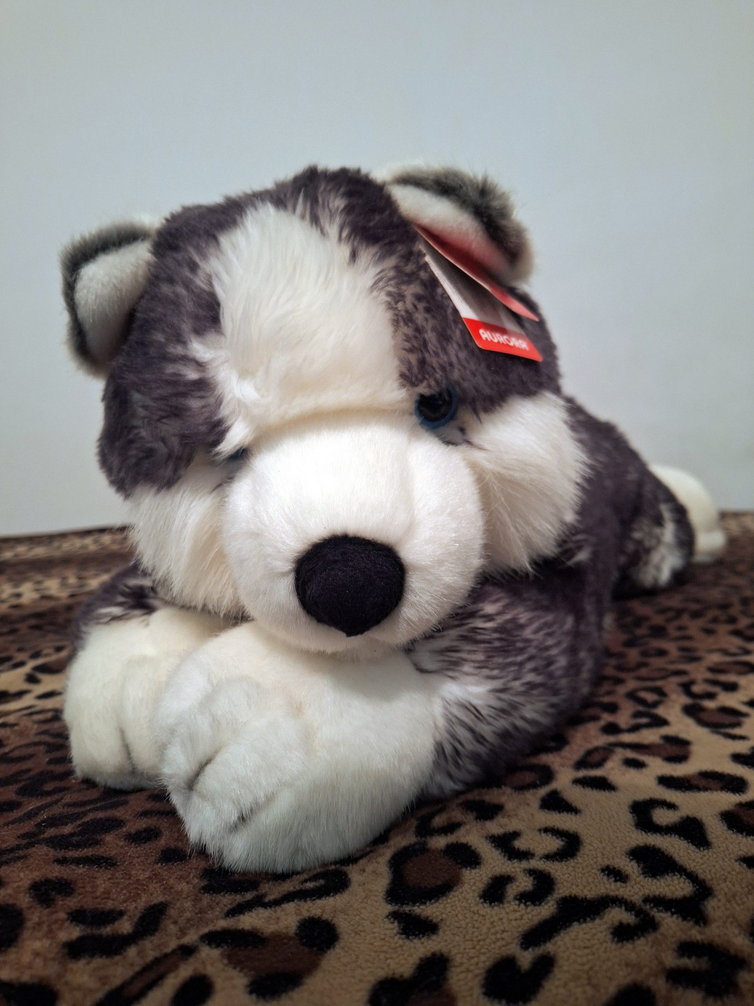 20240918_131428 (Copy)