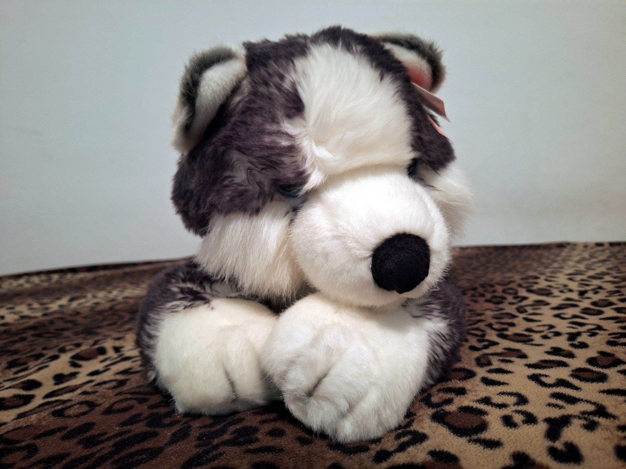 20240918_131431 (Copy)