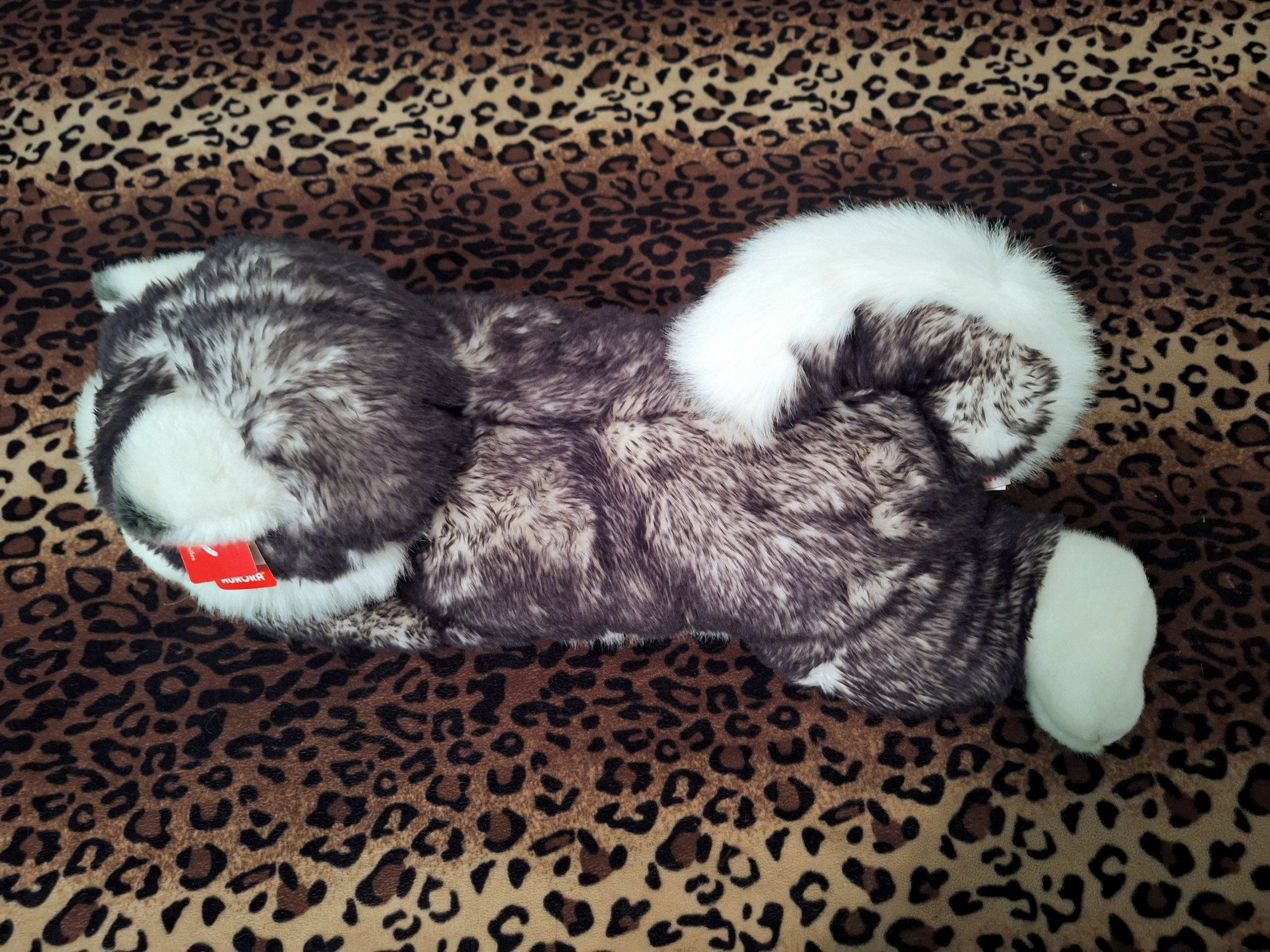 20240918_131441 (Copy)