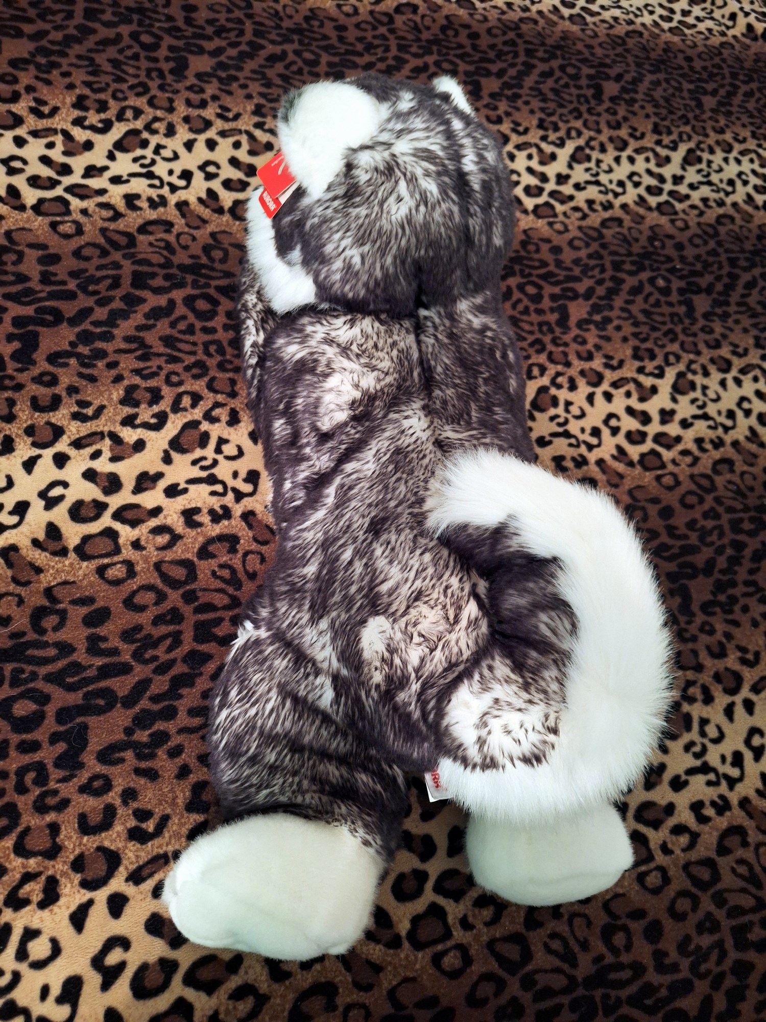 20240918_131501 (Copy)