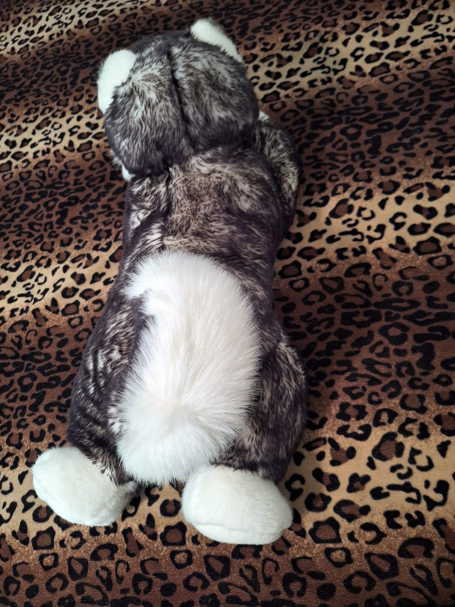 20240918_131505 (Copy)