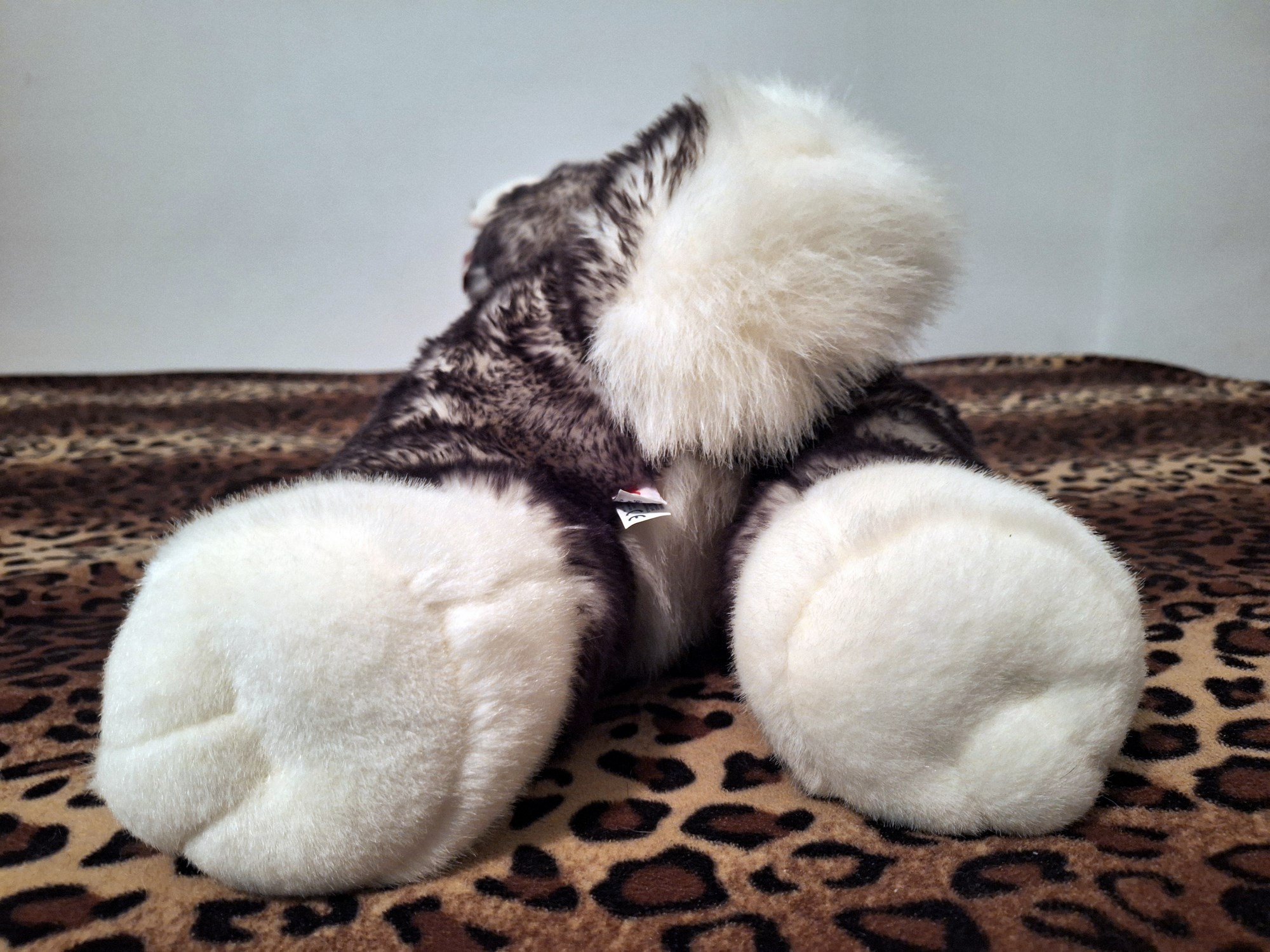 20240918_131516 (Copy)