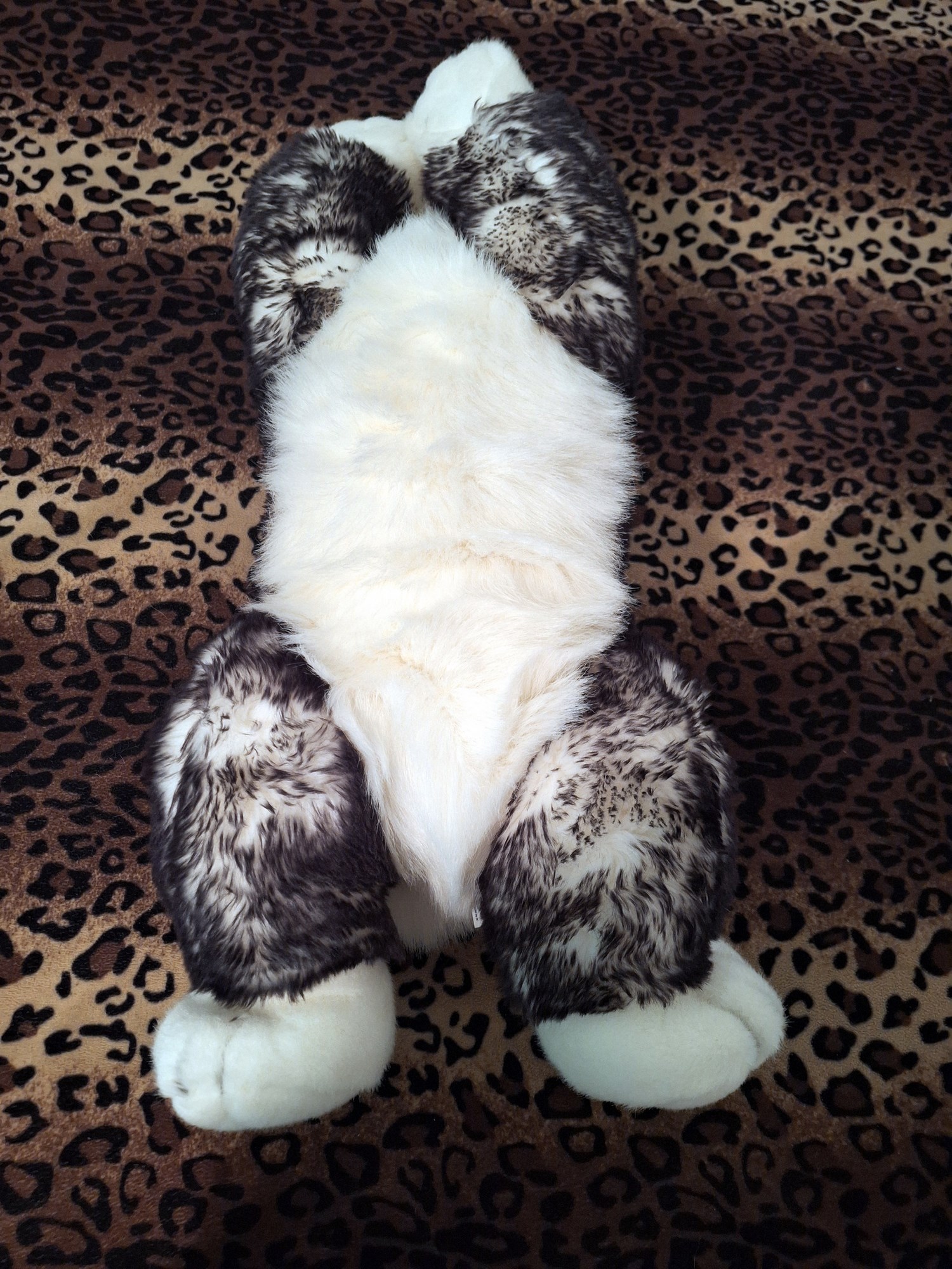 20240918_131552 (Copy)