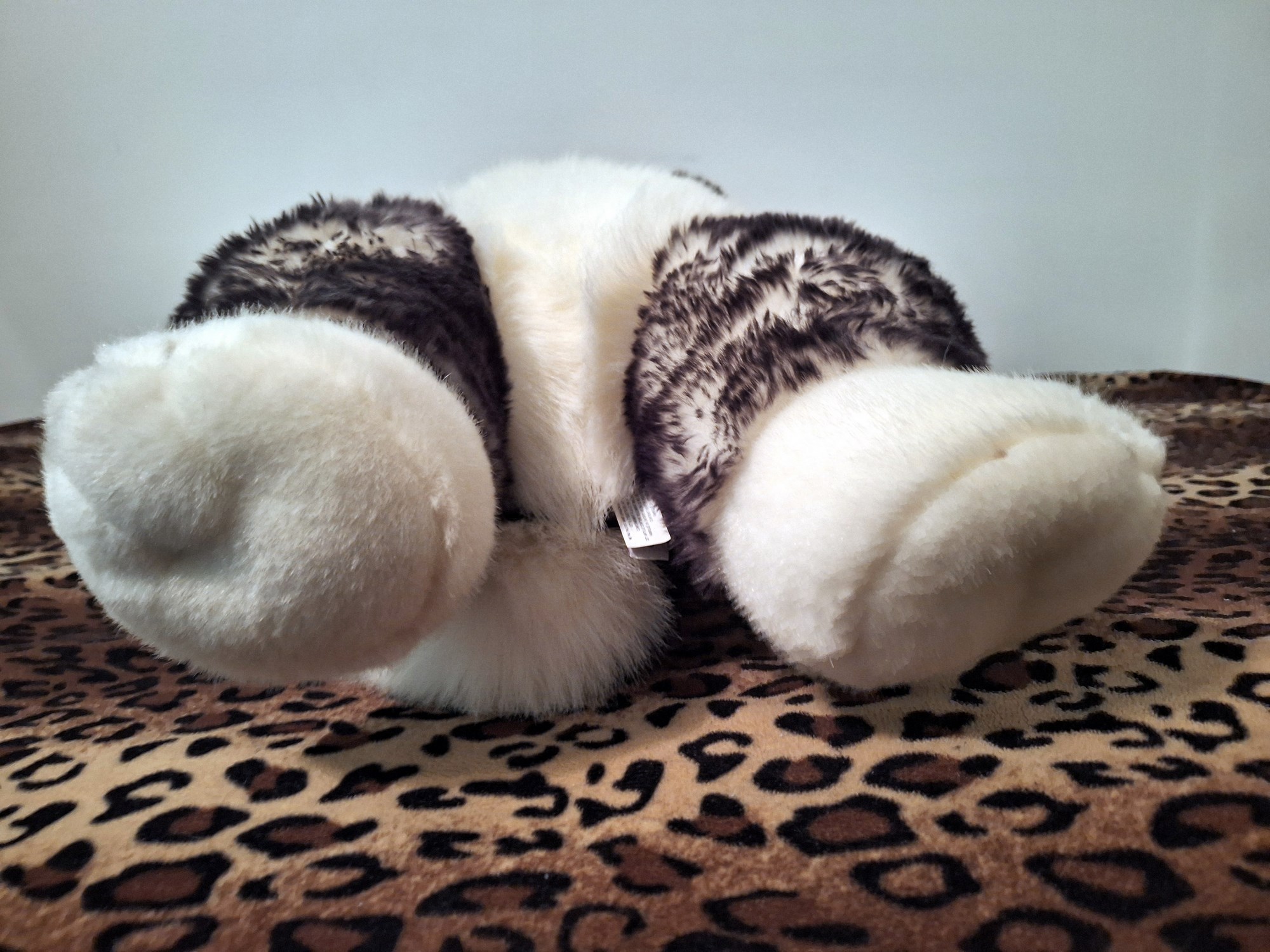 20240918_131557 (Copy)