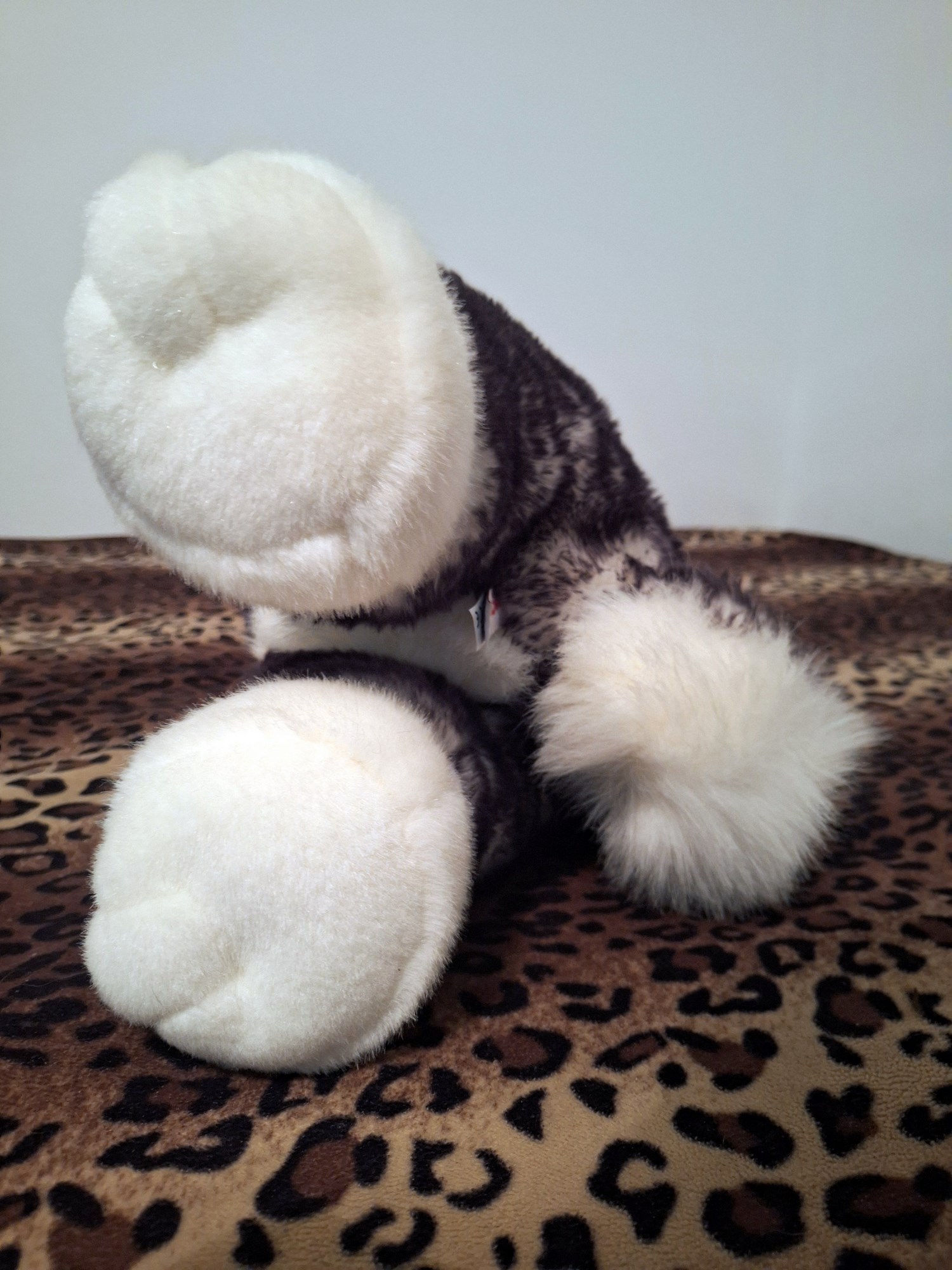 20240918_131621 (Copy)