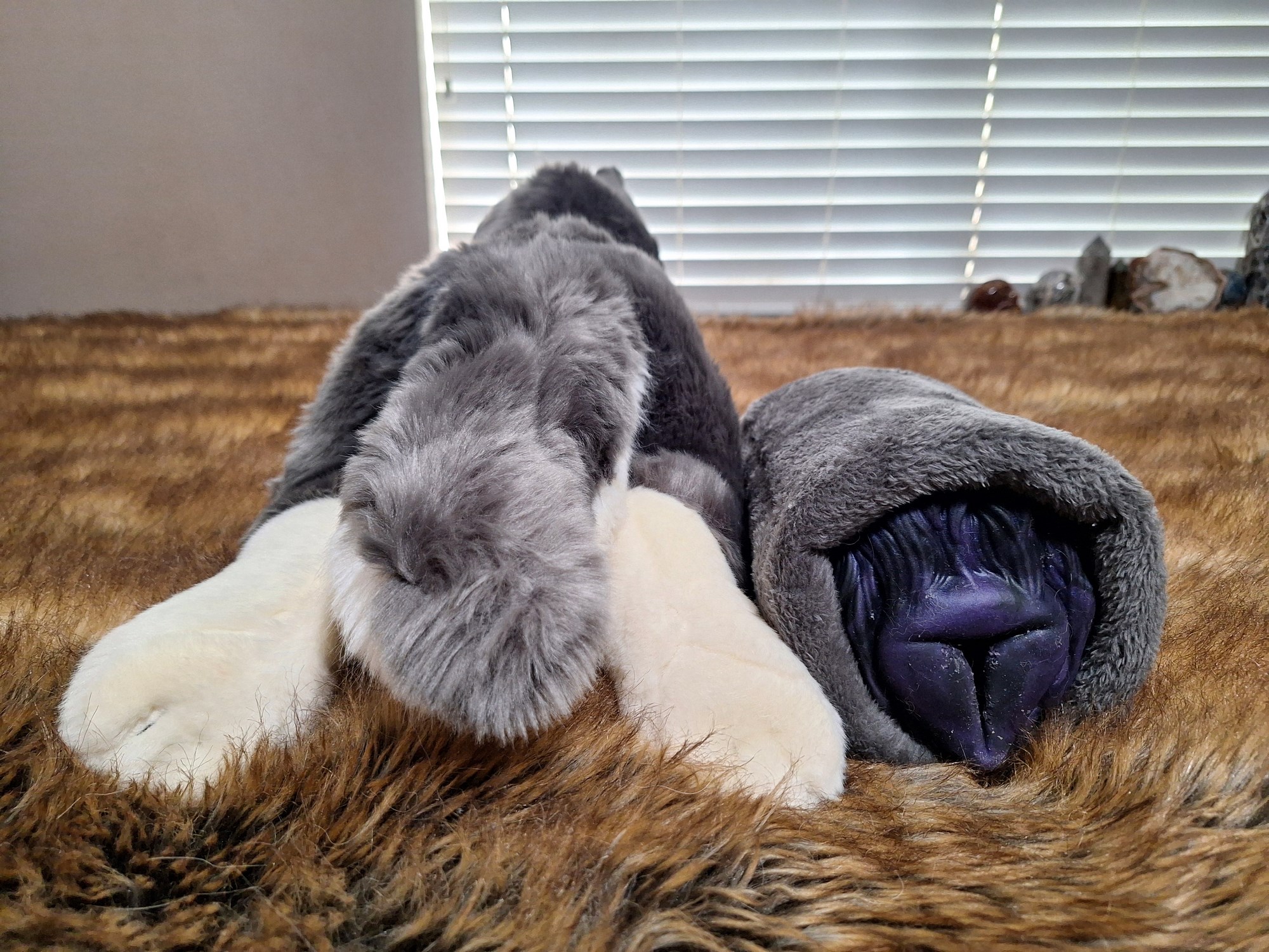 20241003_133214 (Copy)