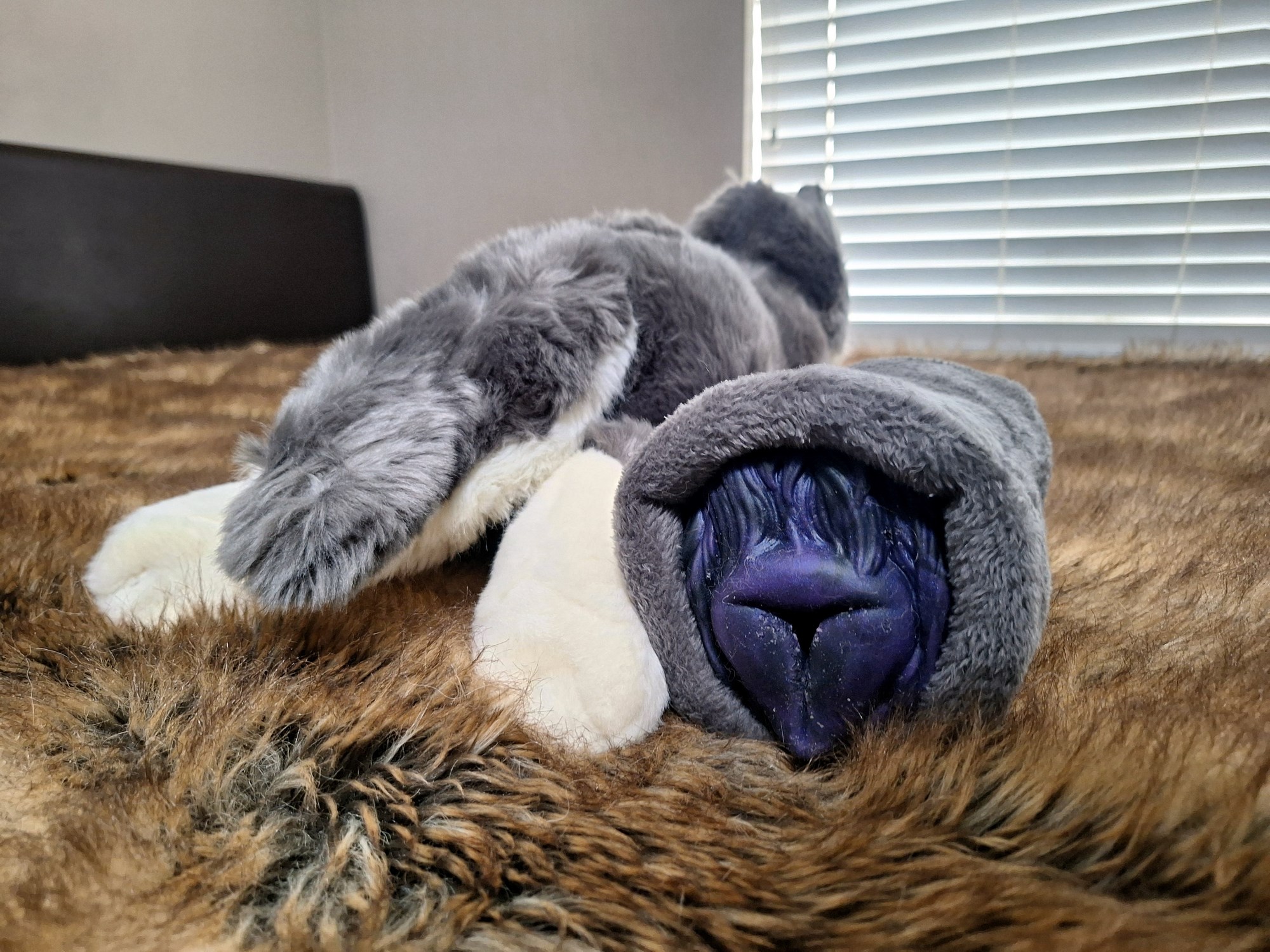 20241003_133314 (Copy)