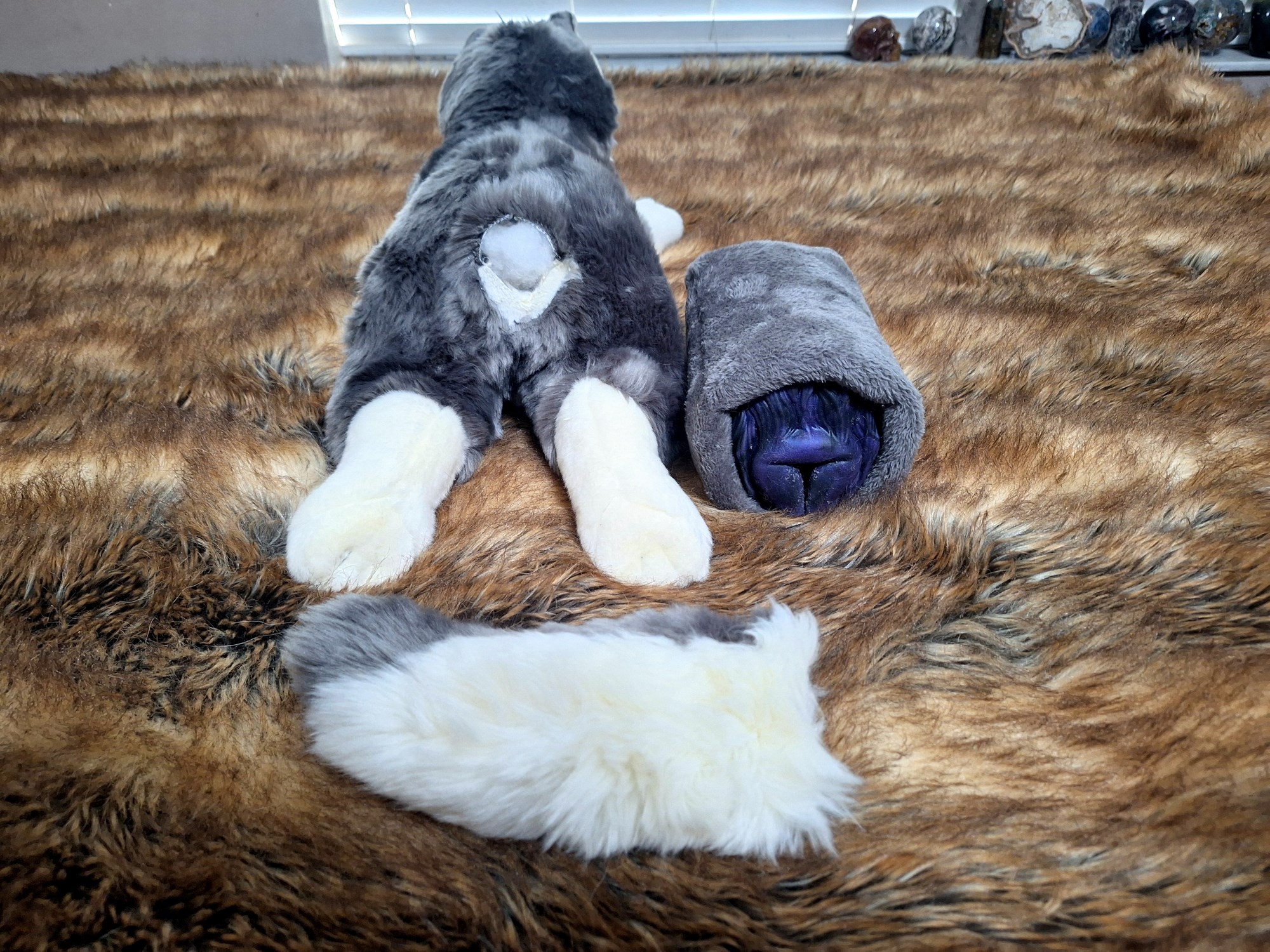 20241003_134105 (Copy)