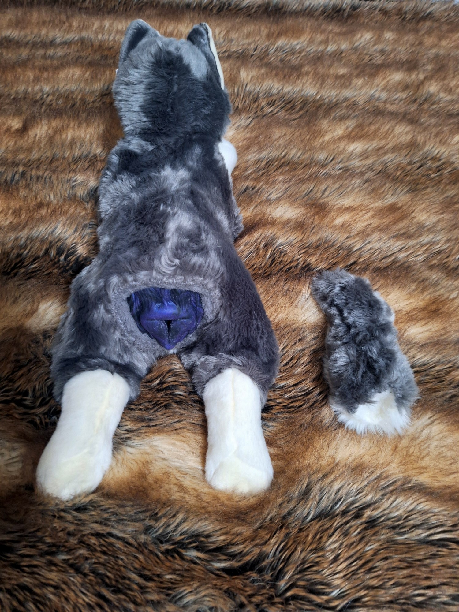 20241004_151119 (Copy)