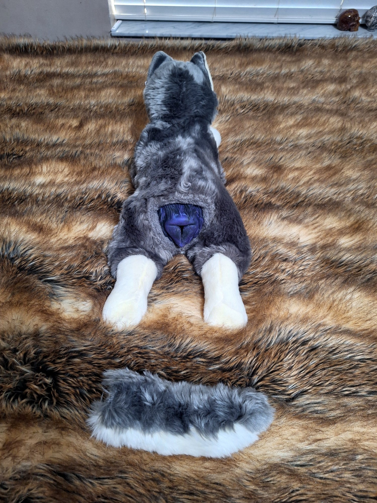 20241004_151917 (Copy)