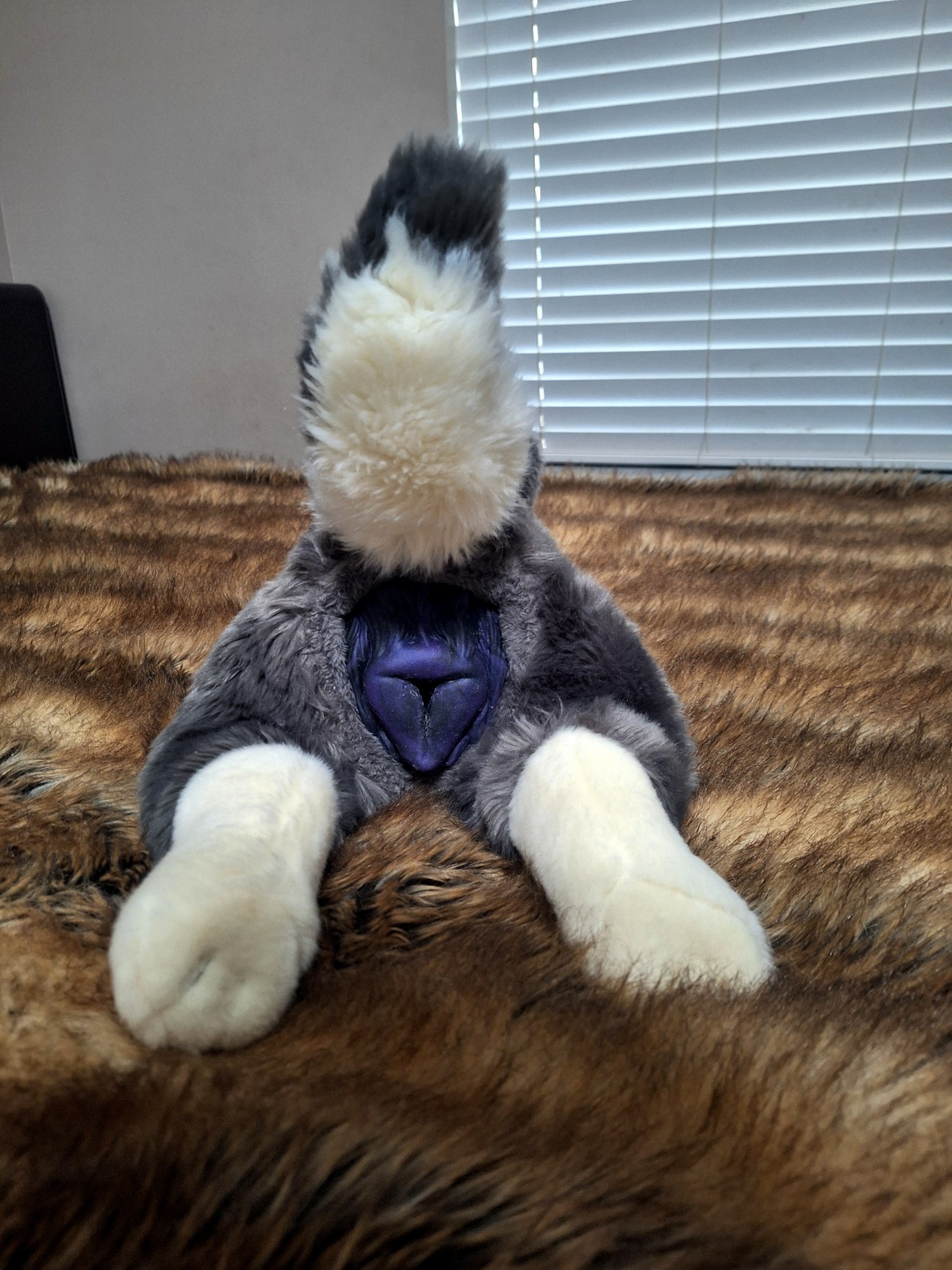 20241004_172902 (Copy)