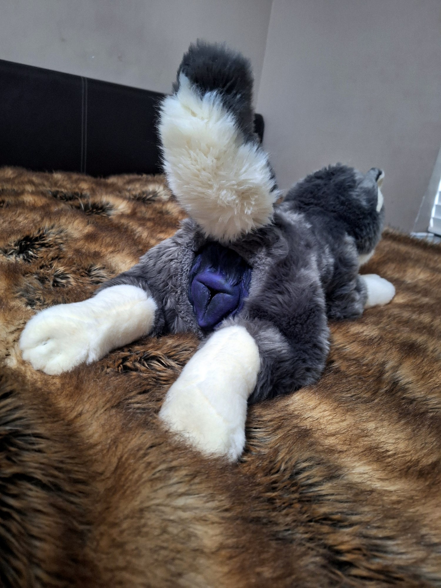 20241004_172908 (Copy)