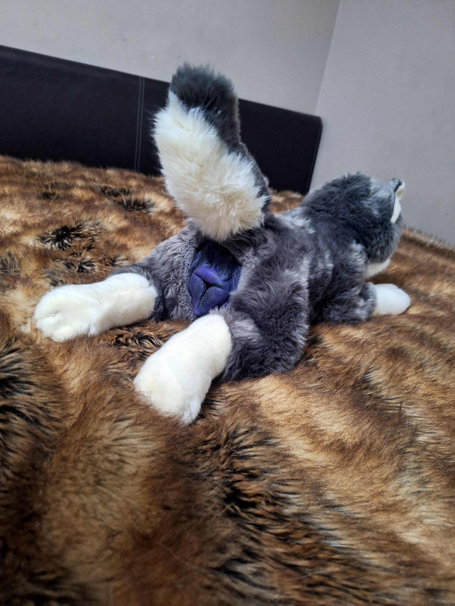 20241004_172911 (Copy)